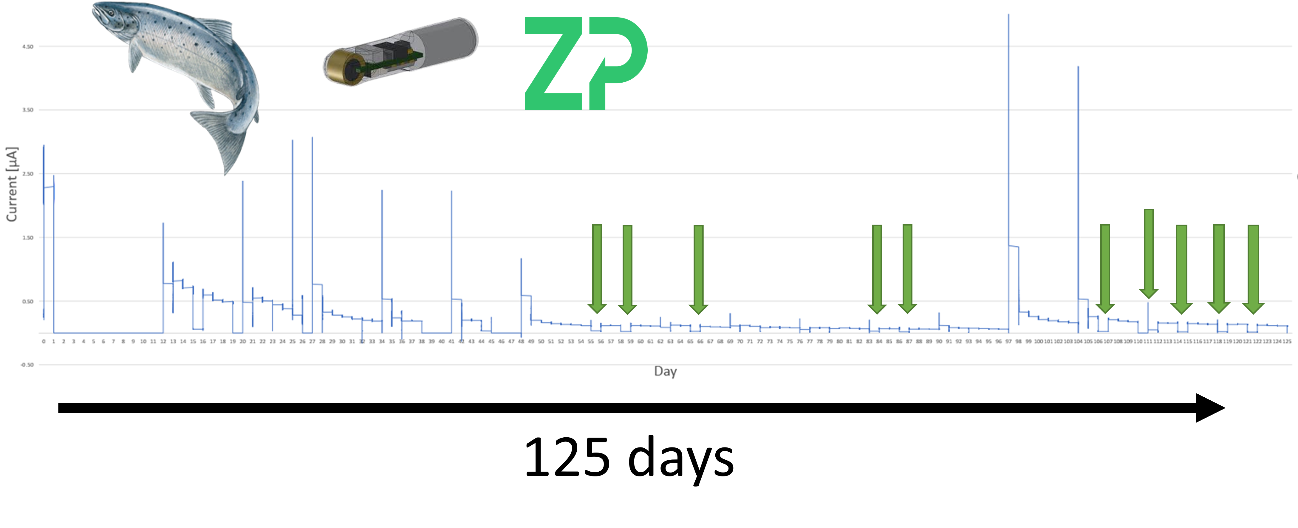 125 days of CGM data