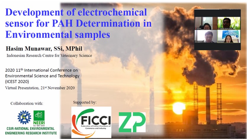 Electrochemical Sensors for Environmental Samples