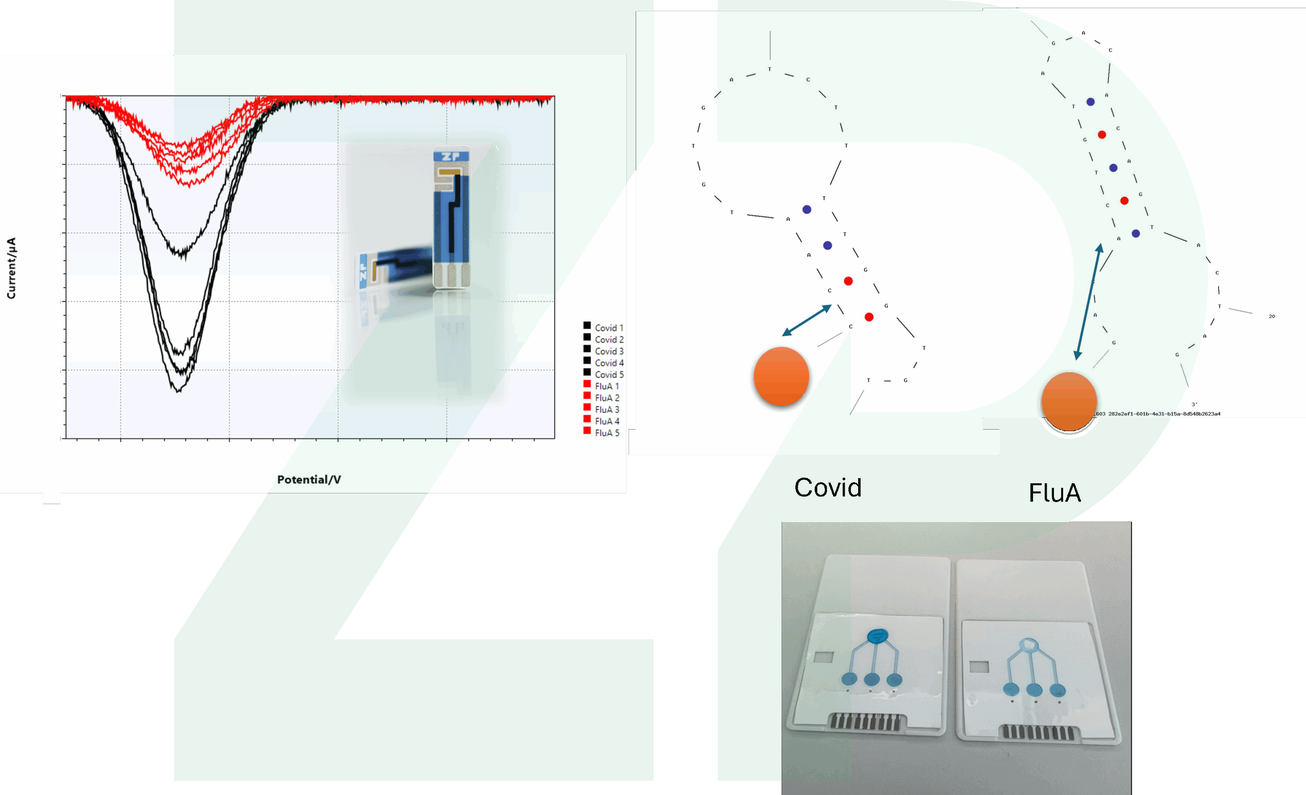 E-AB development and manufacturing services from Zimmer and Peacock