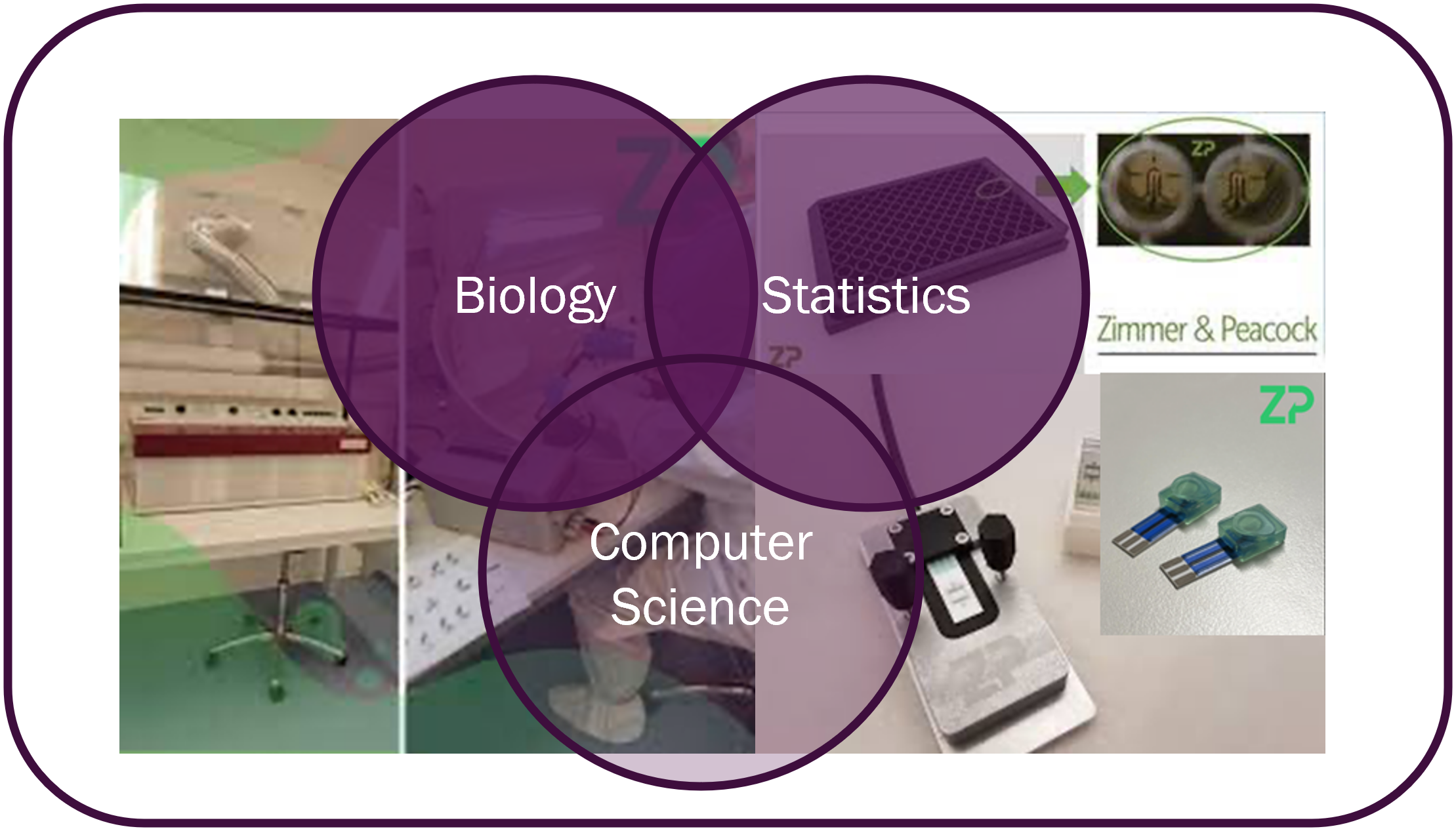 Bioinformatics Biology