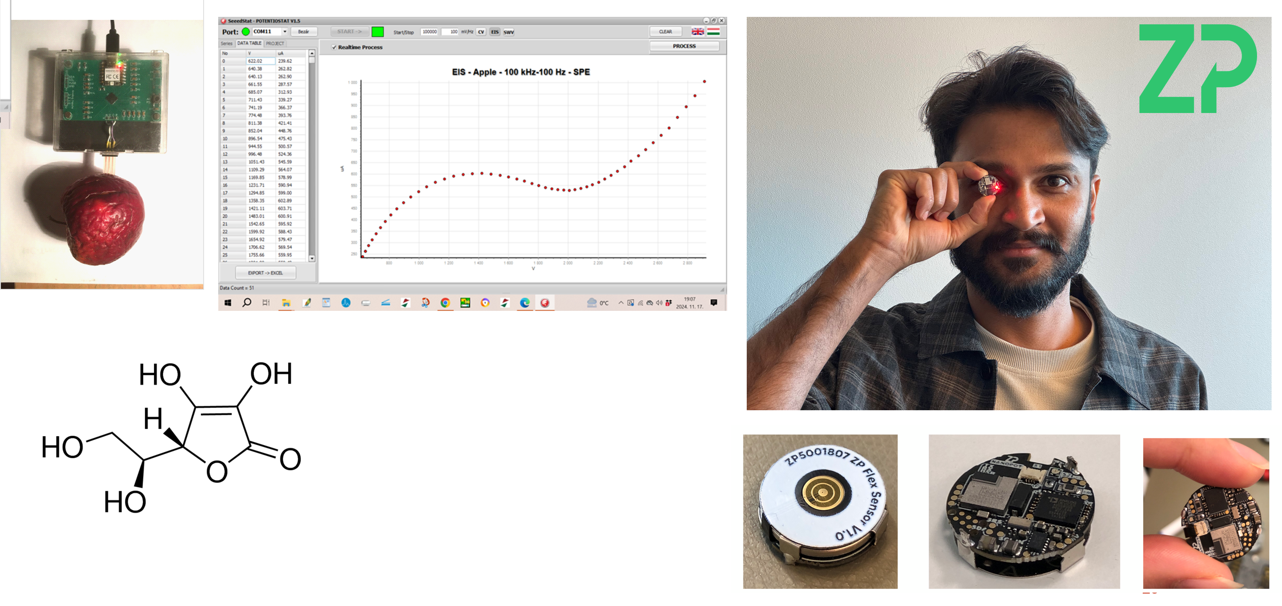 Electrochemical Impedance Spectroscopy in a fruit