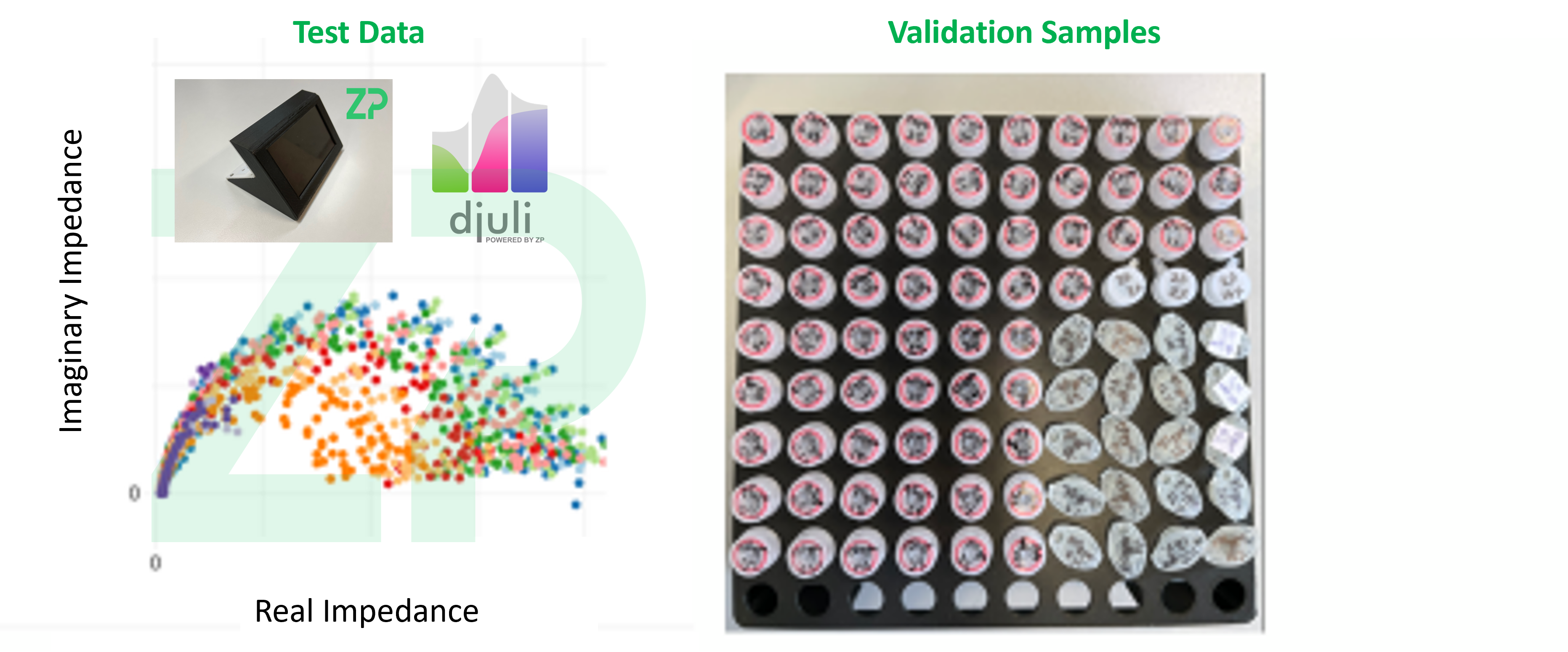 ZP large scale EIS testing