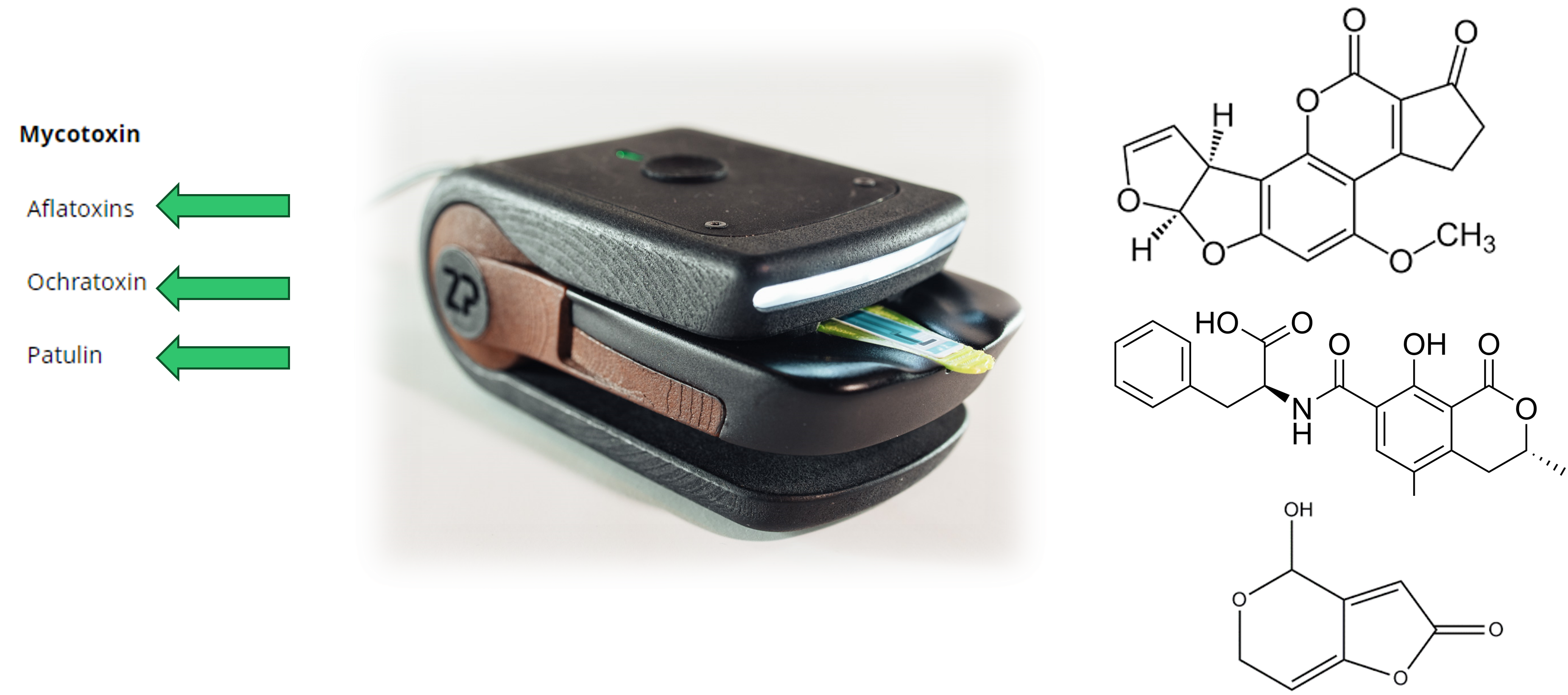 Mycotoxins on FoodSense: Aflatoxins, Ochratoxins, Patulin