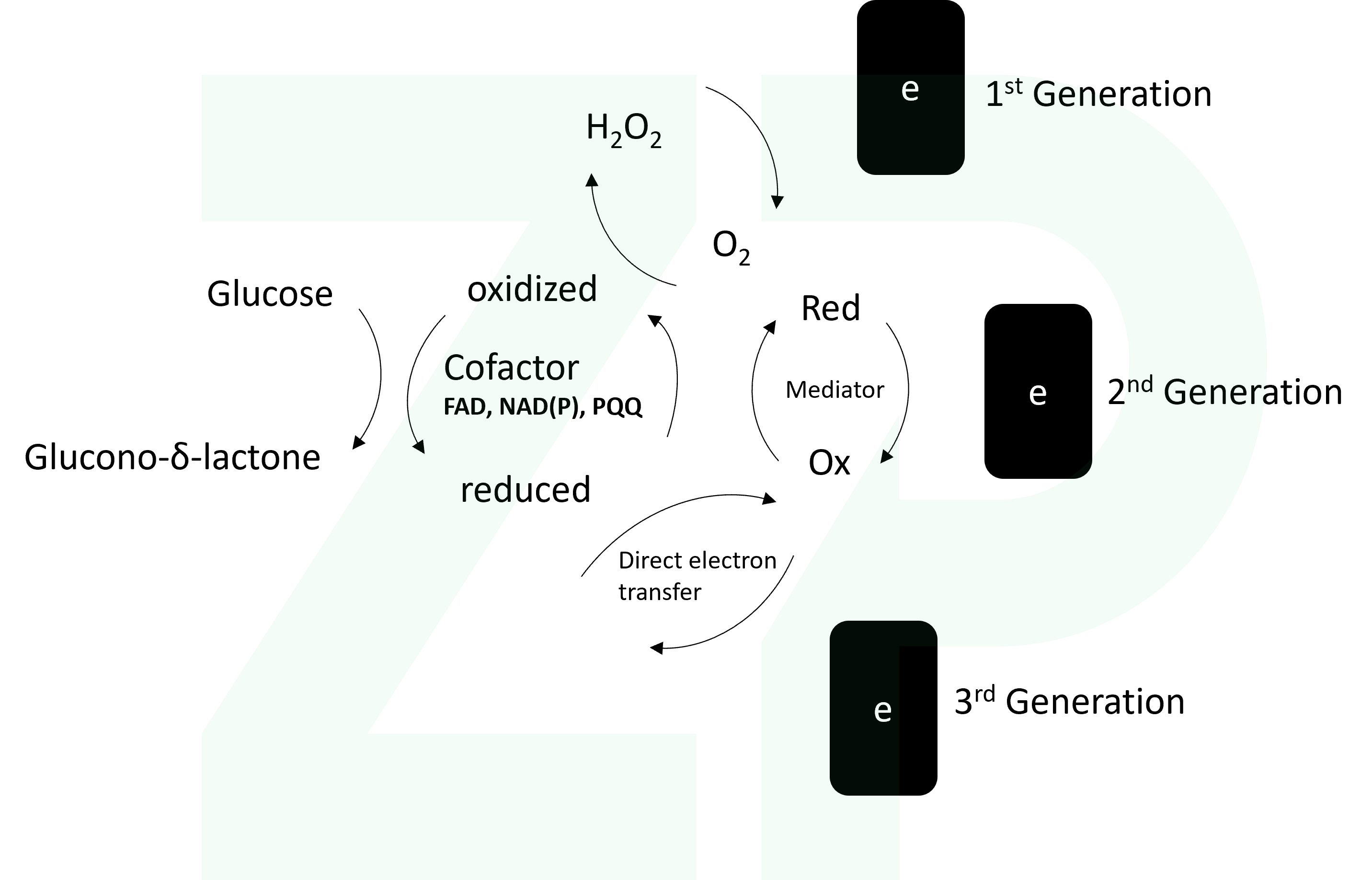 Generation One, Two and Three Glucose Sensors