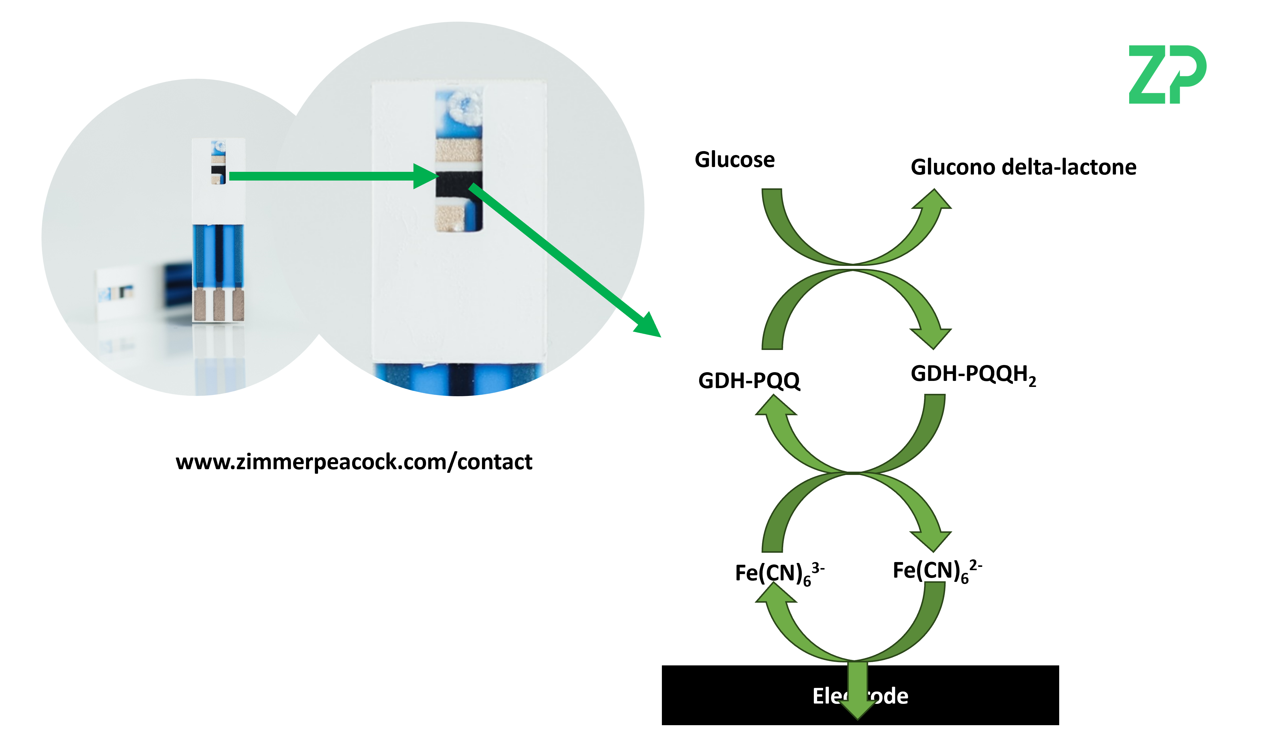 Bio-electrochemistry of glucose strips and implications to other electrochemical biosensors