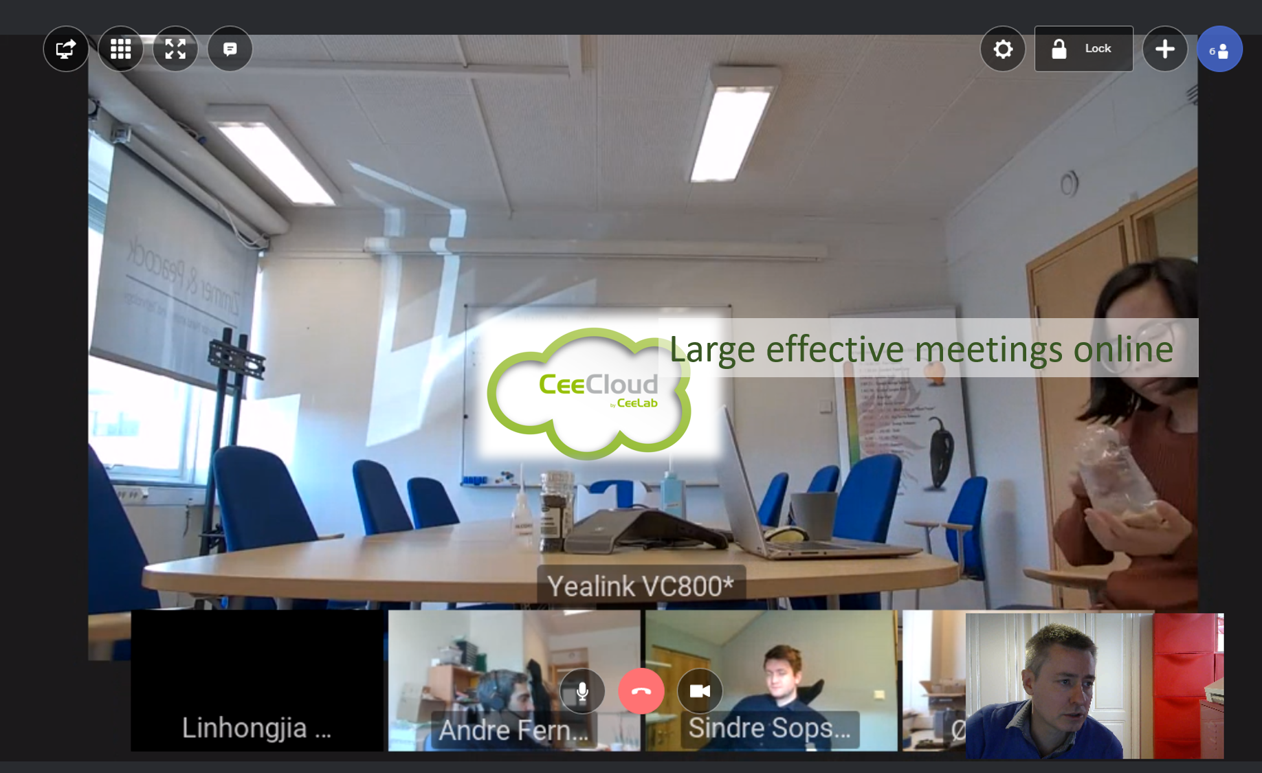 Large online meeting during the COVID-19 pandemic