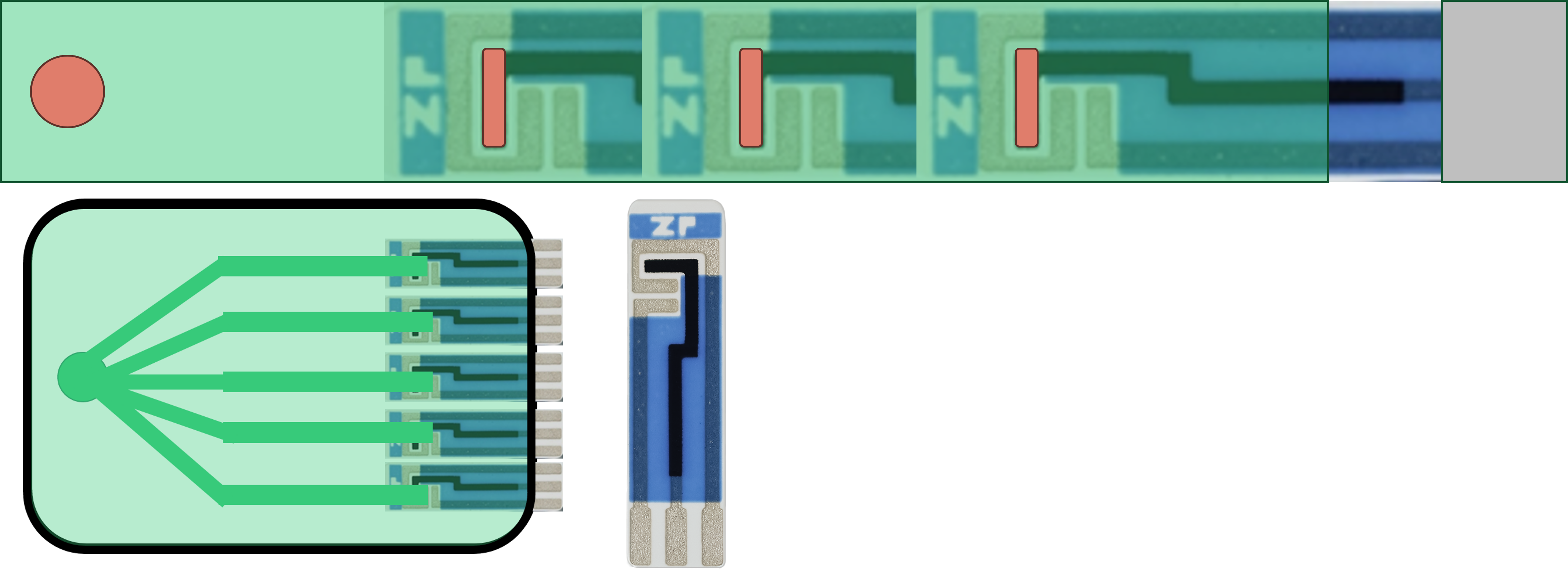 Integration of electrochemical sensors with lateral flow assays