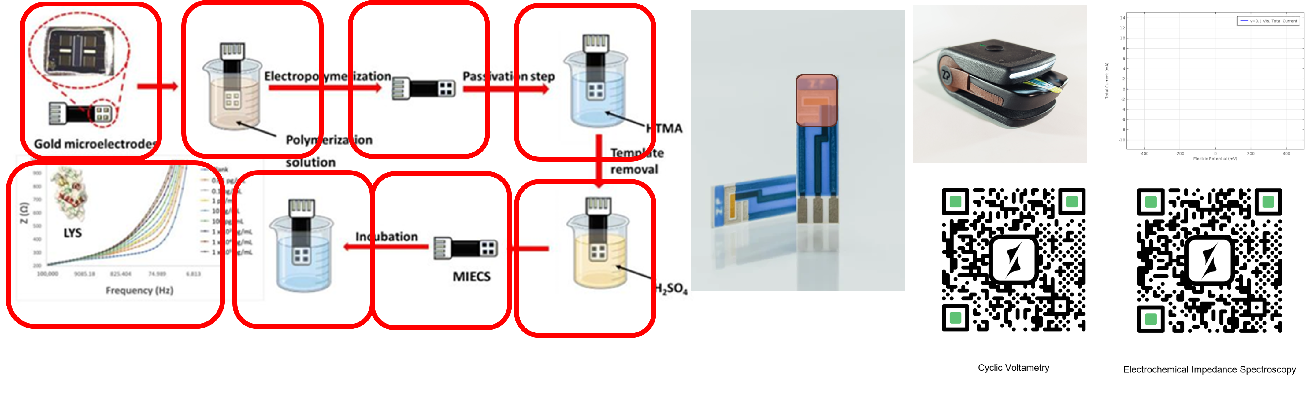 Commercialization: A Molecularly Imprinted Polypyrrole/GO@Fe3O4 Nanocomposite Modified Impedimetric Sensor for the Routine Monitoring of Lysozyme