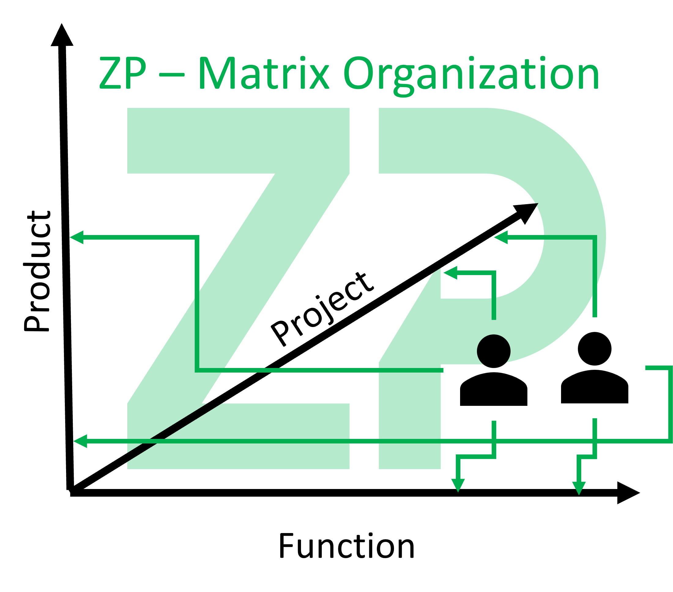 ZP has a Matrix Organizational Structure