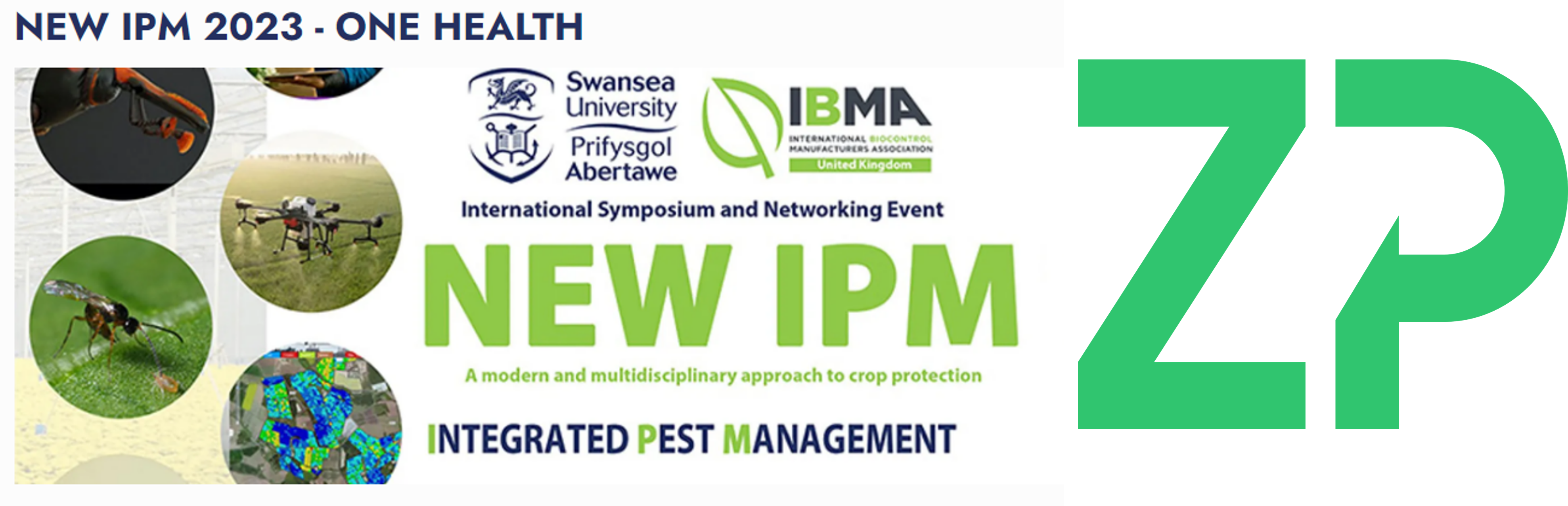 From mycotoxins to glyphosate