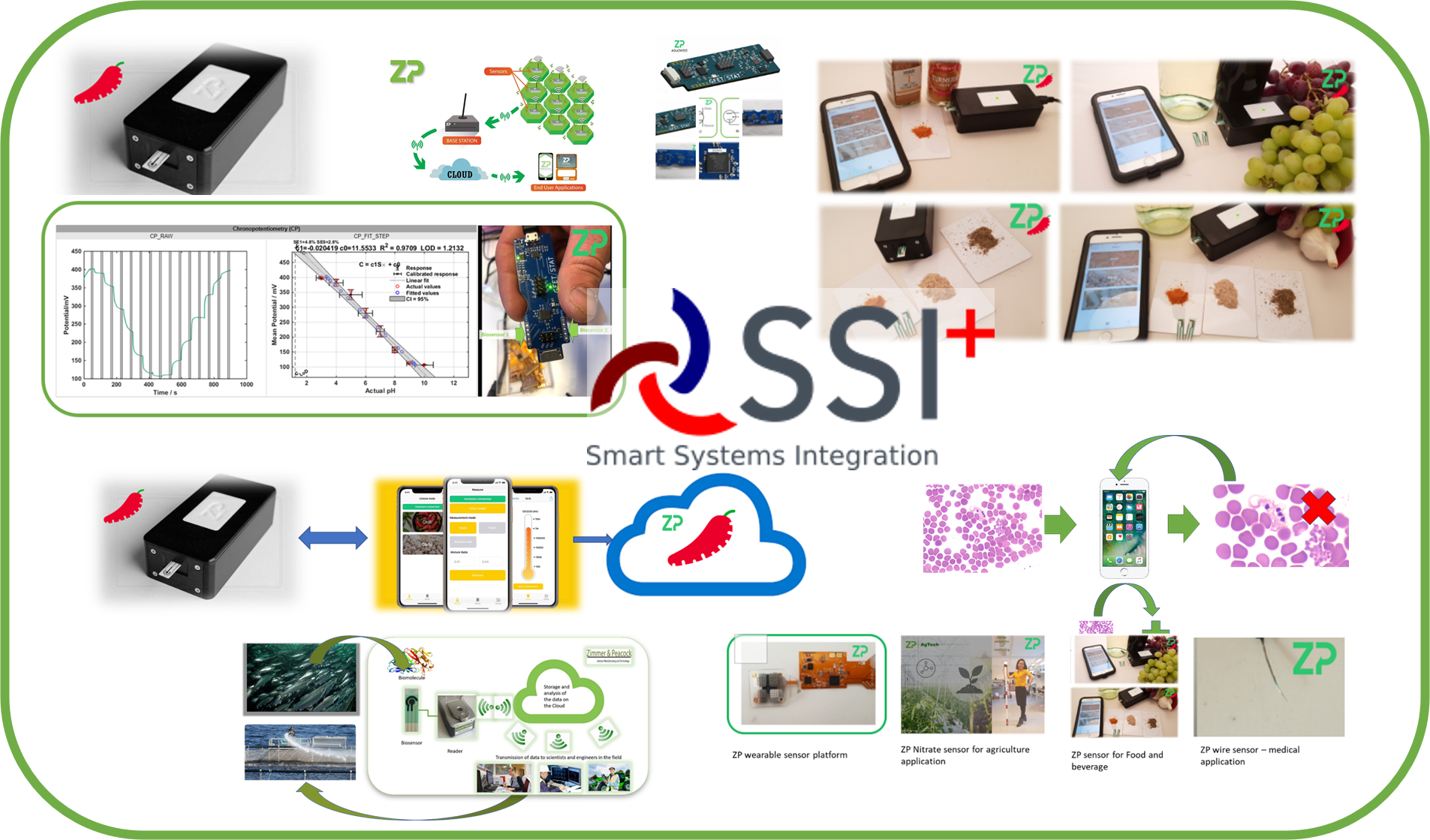 Erasmus SSI students