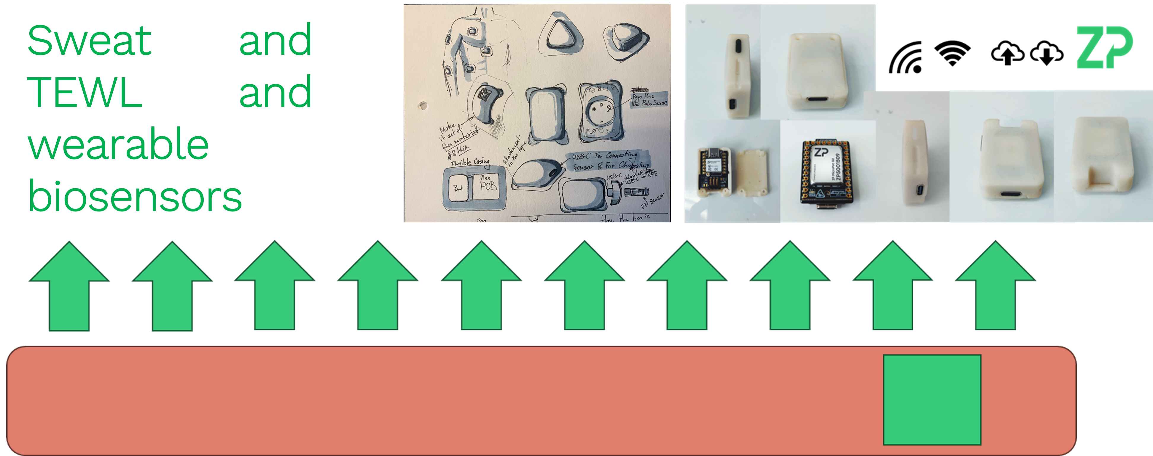 Biosensors and Trans-epidermal Water Loss (TEWL)