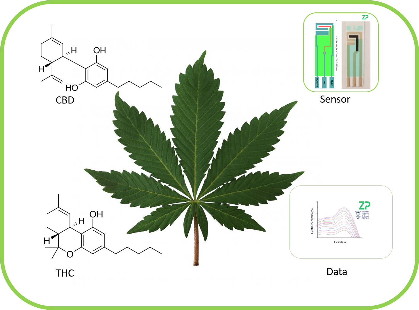 THC and CBD detection