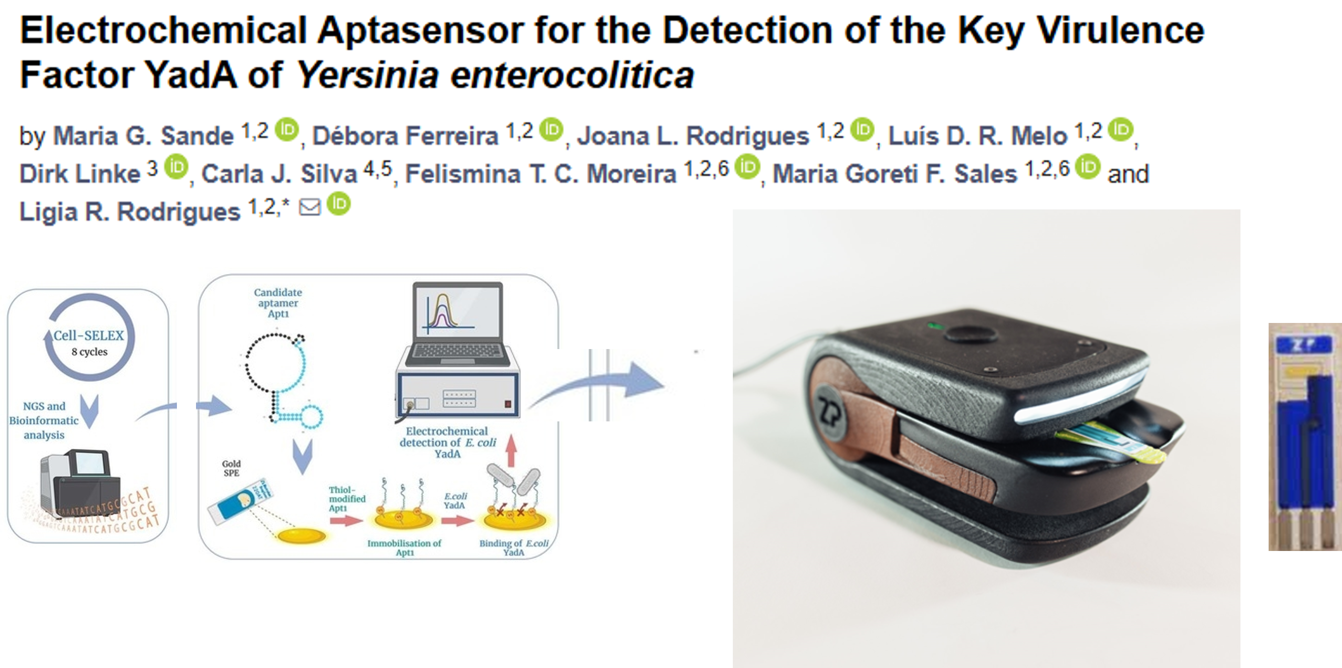 Commercializing: Electrochemical Aptasensor for the Detection of the Key Virulence Factor YadA of Yersinia enterocolitica