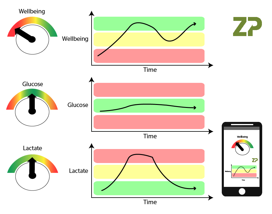 Sensors for Athletes