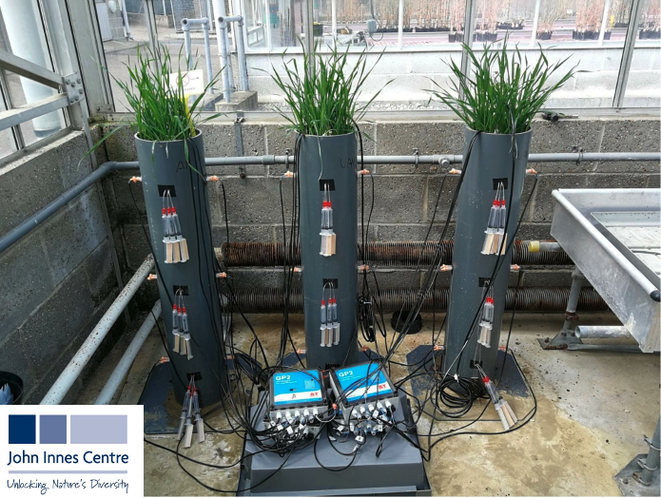 Nitrate detection in soil