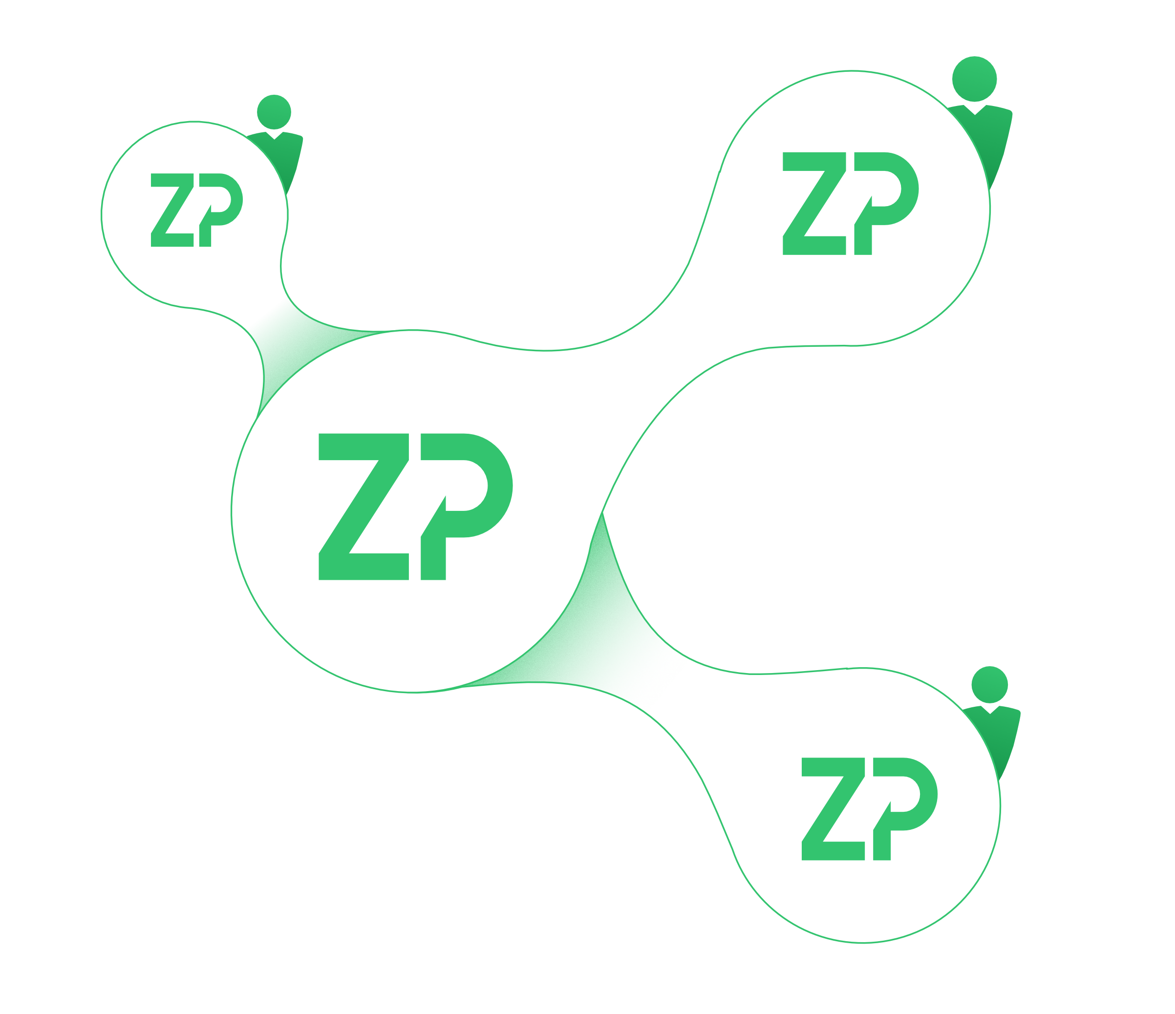 ZP Cell