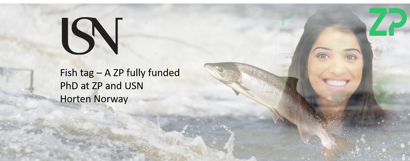 Fully funded PhD at ZP