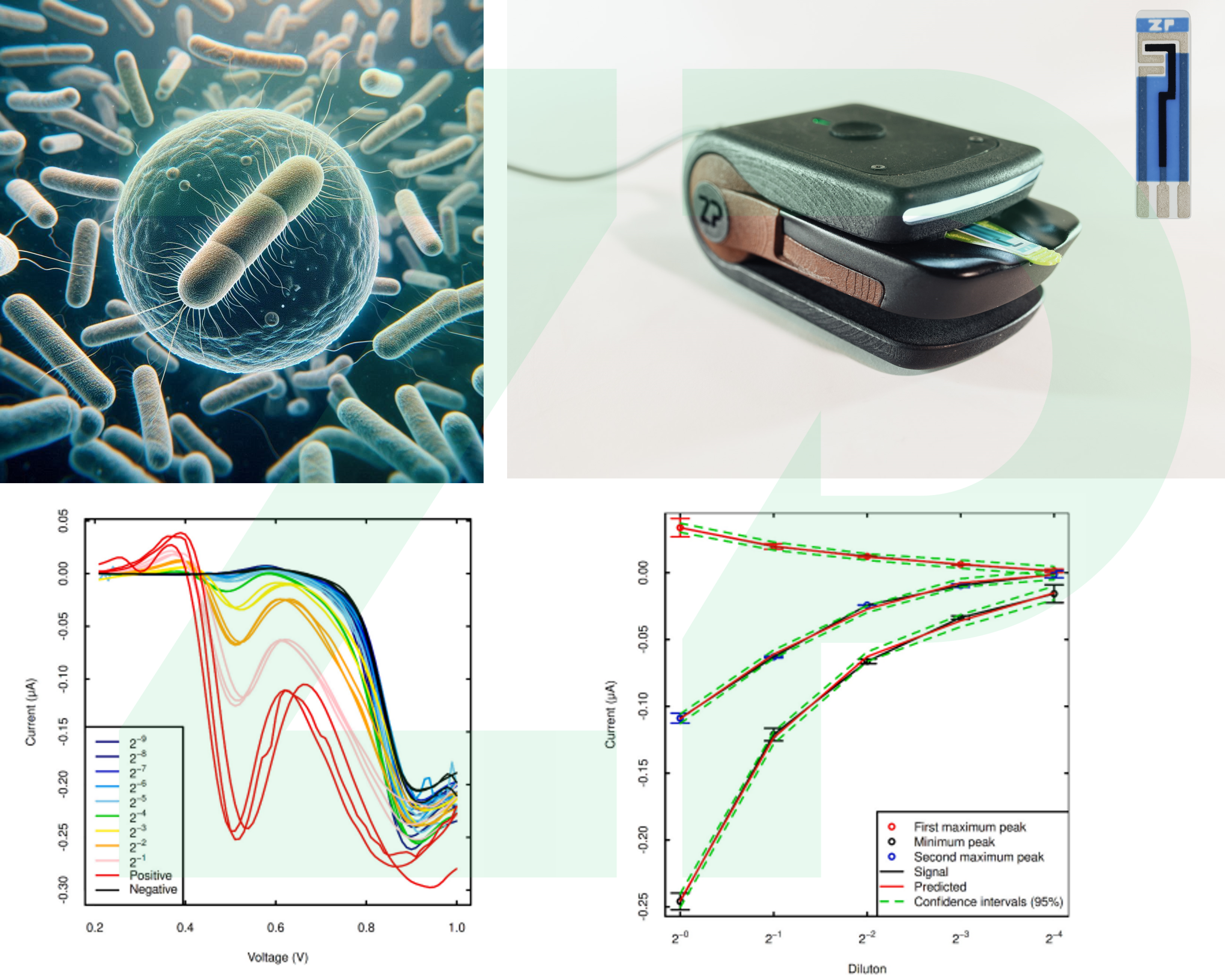 Bacterial detection on ZP Platform