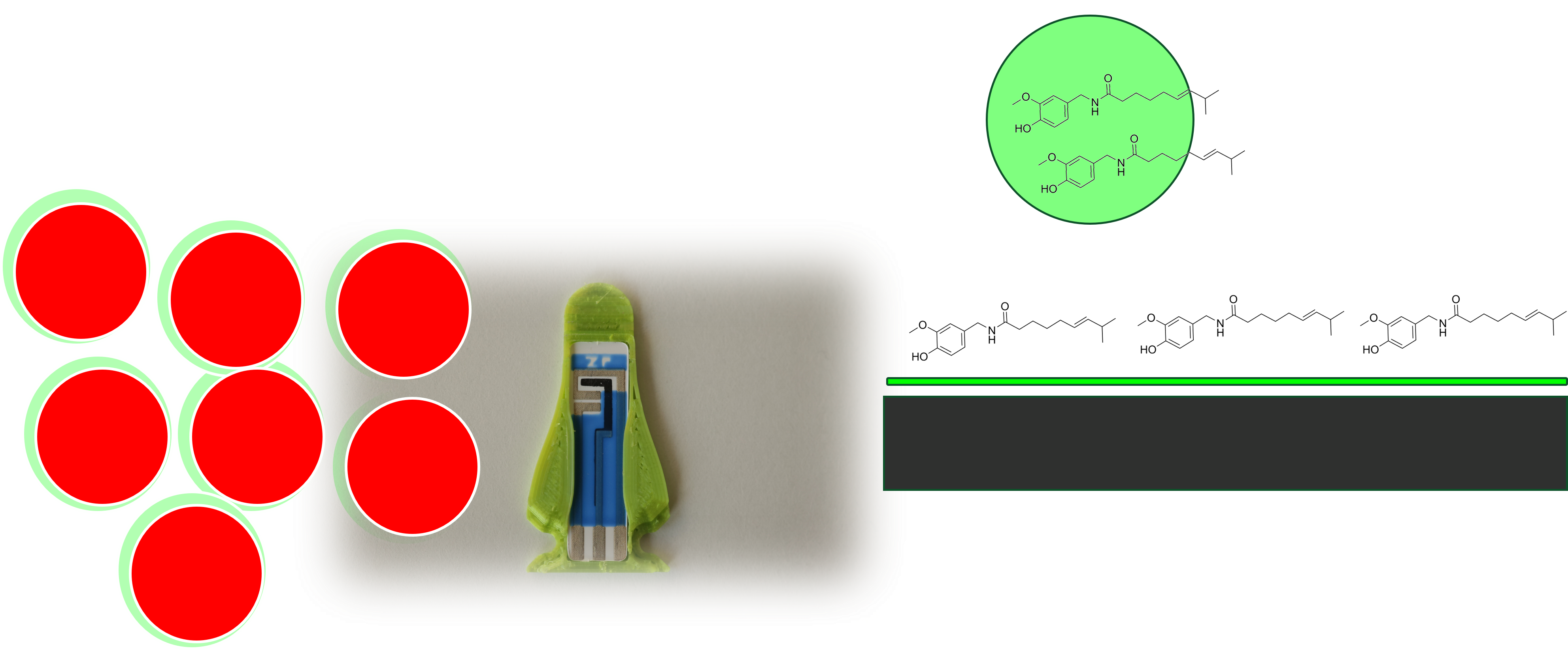 Testing Bedgi Chilli Powder for Scoville Heat Units