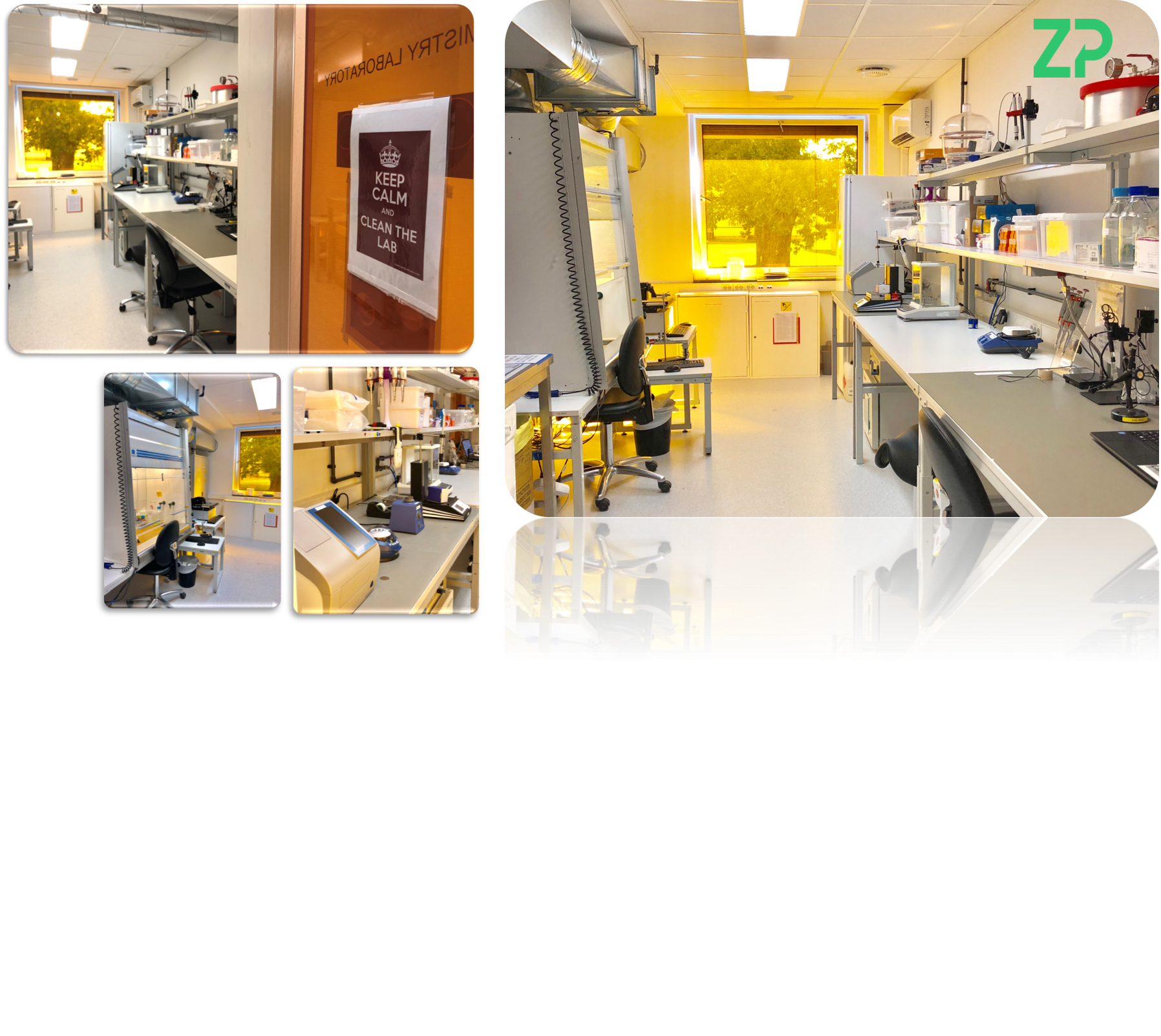 ZP - fully functional biosensor lab