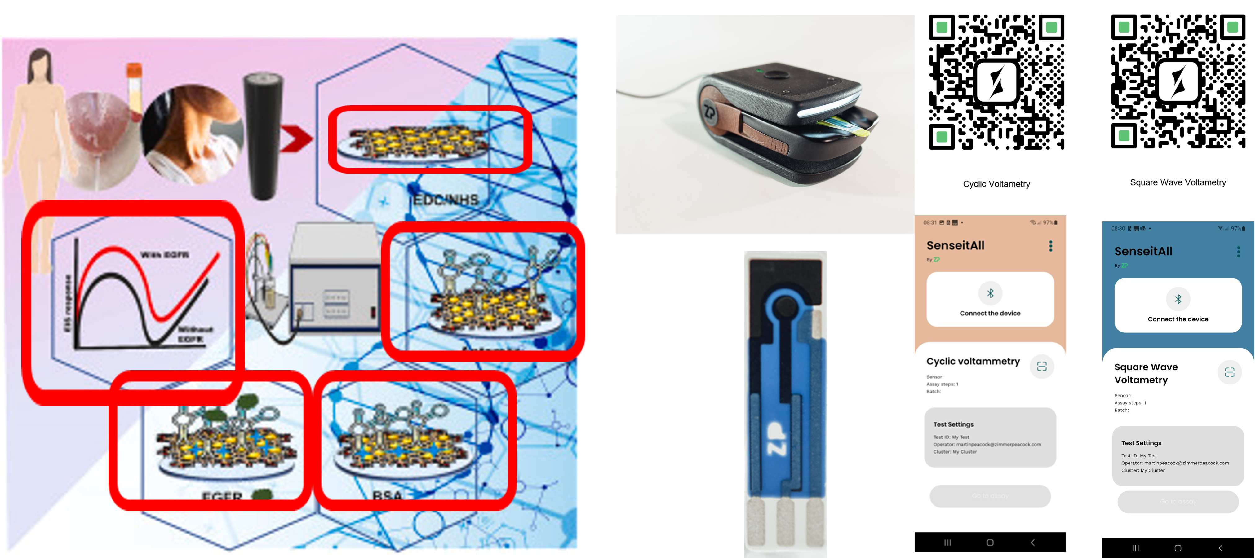Commercializing: Non-Invasive Ultra-Sensitive Detection of Breast Cancer Biomarker using Cerium Nanoparticle Functionalized Graphene Oxide enabled Impedimetric Aptasensor