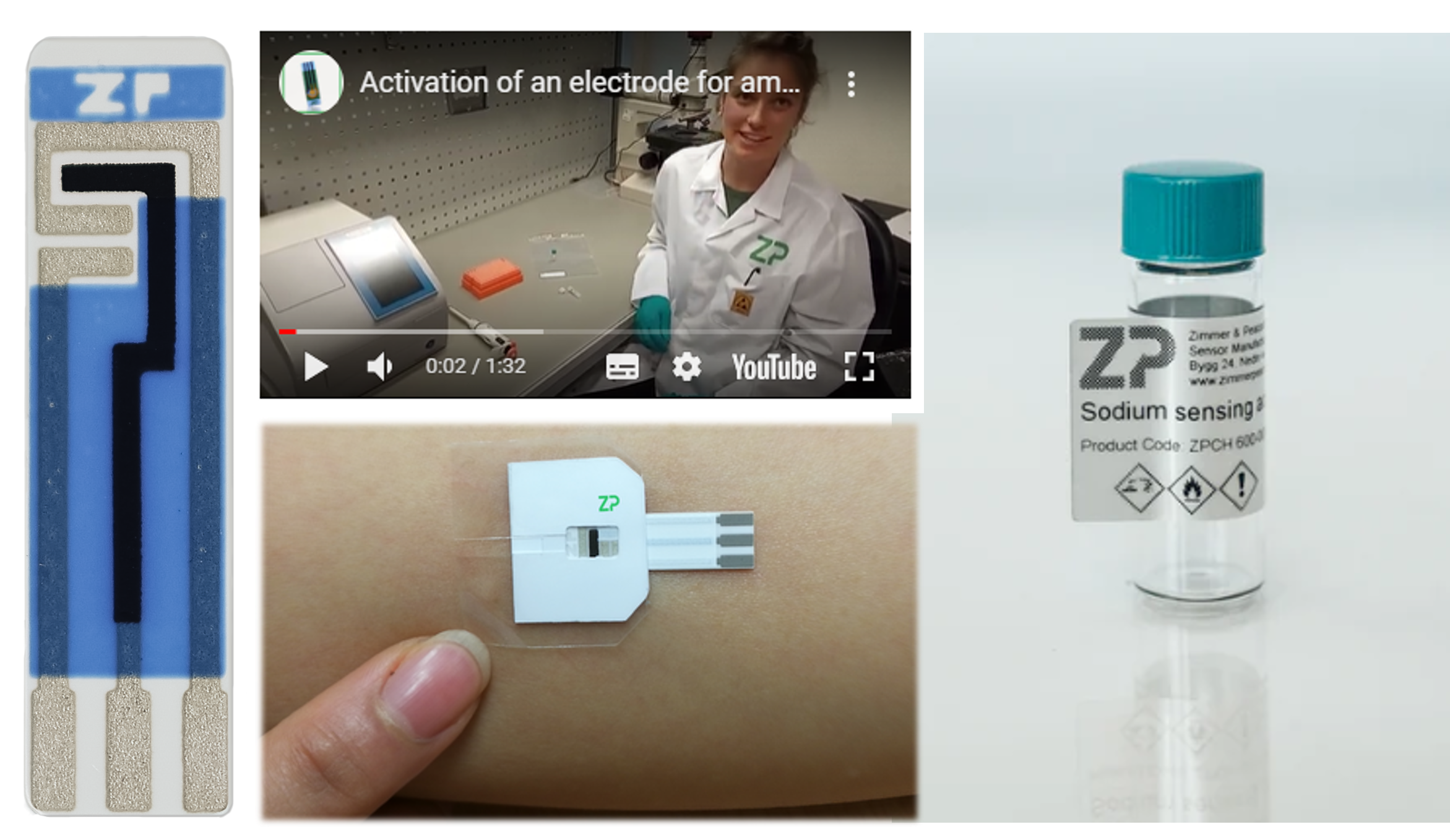 Building a sodium biosensor