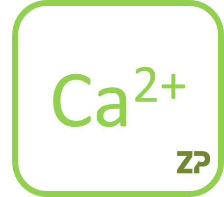 ZP launches calcium ion sensor