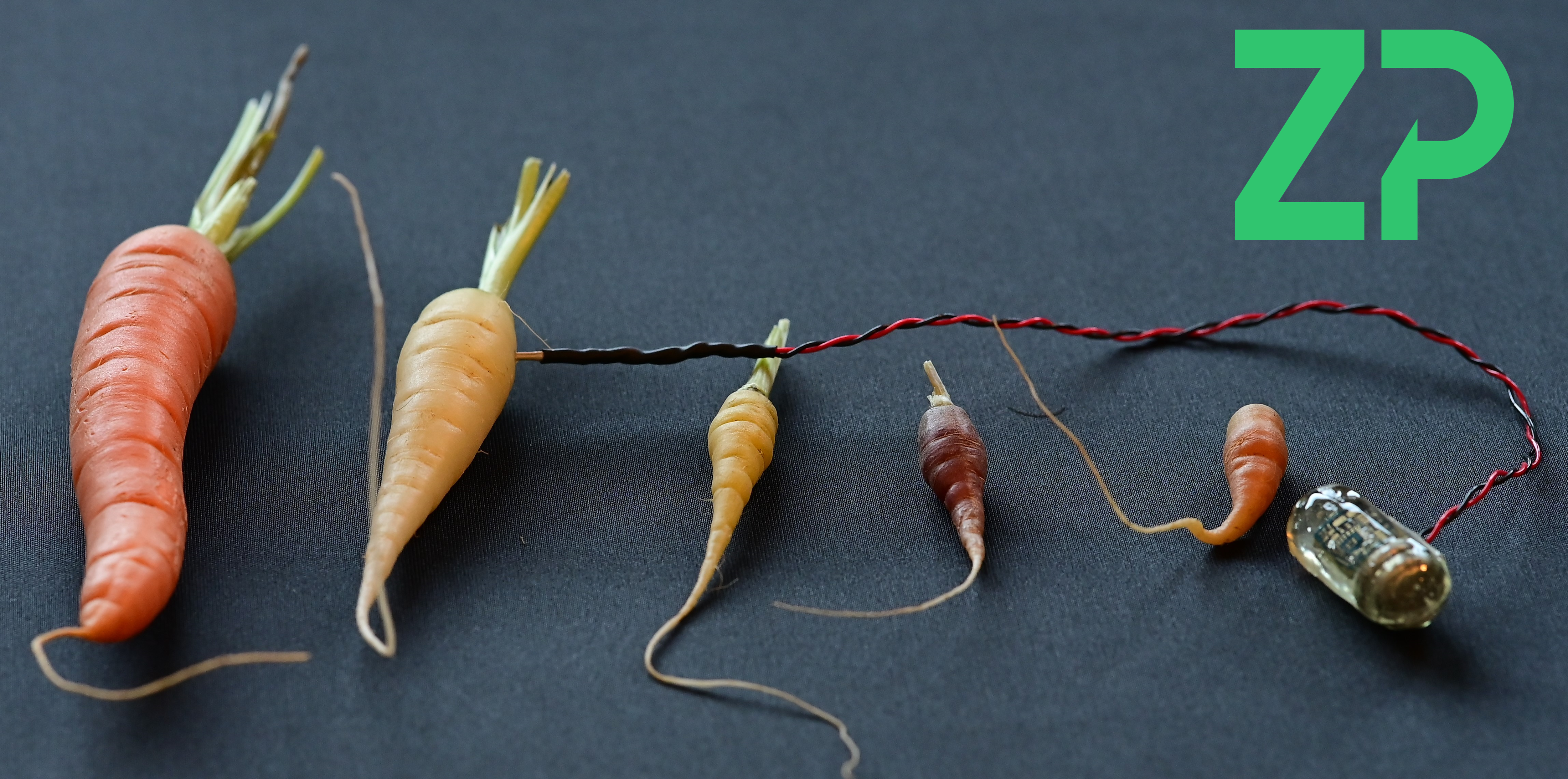 Sensing in vegetables