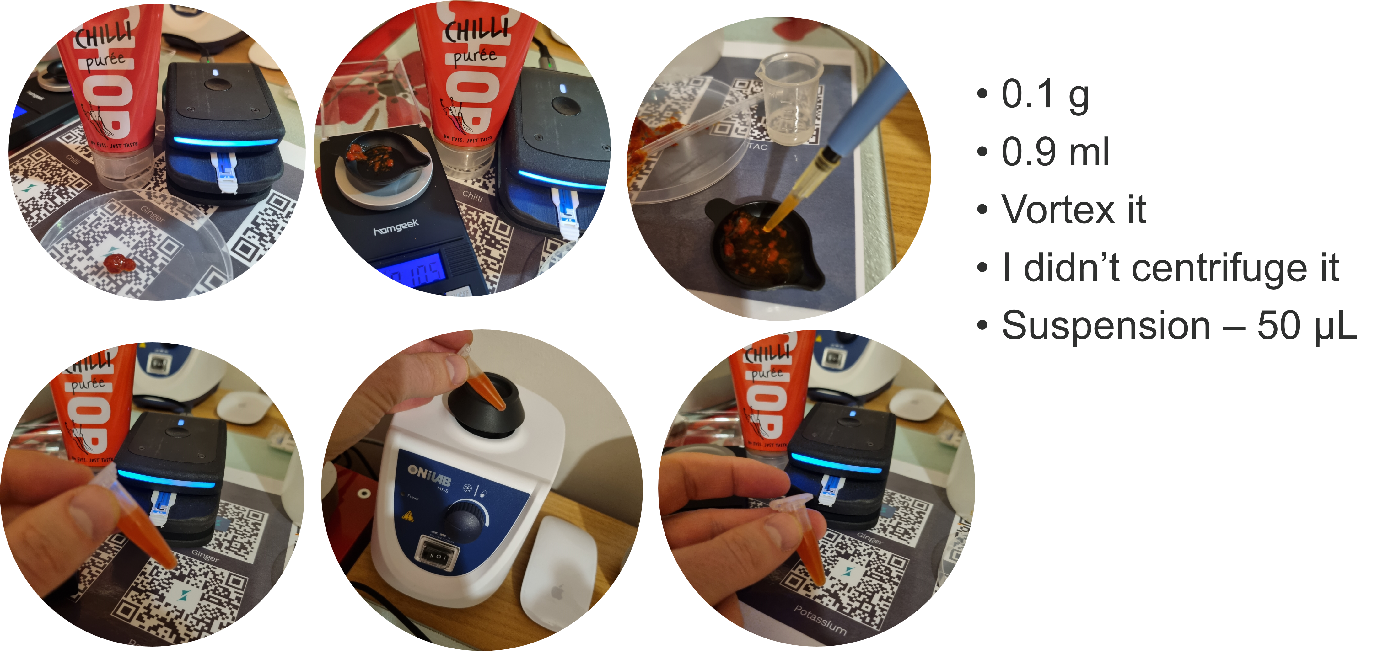 Testing chopped/blended/puree chilli