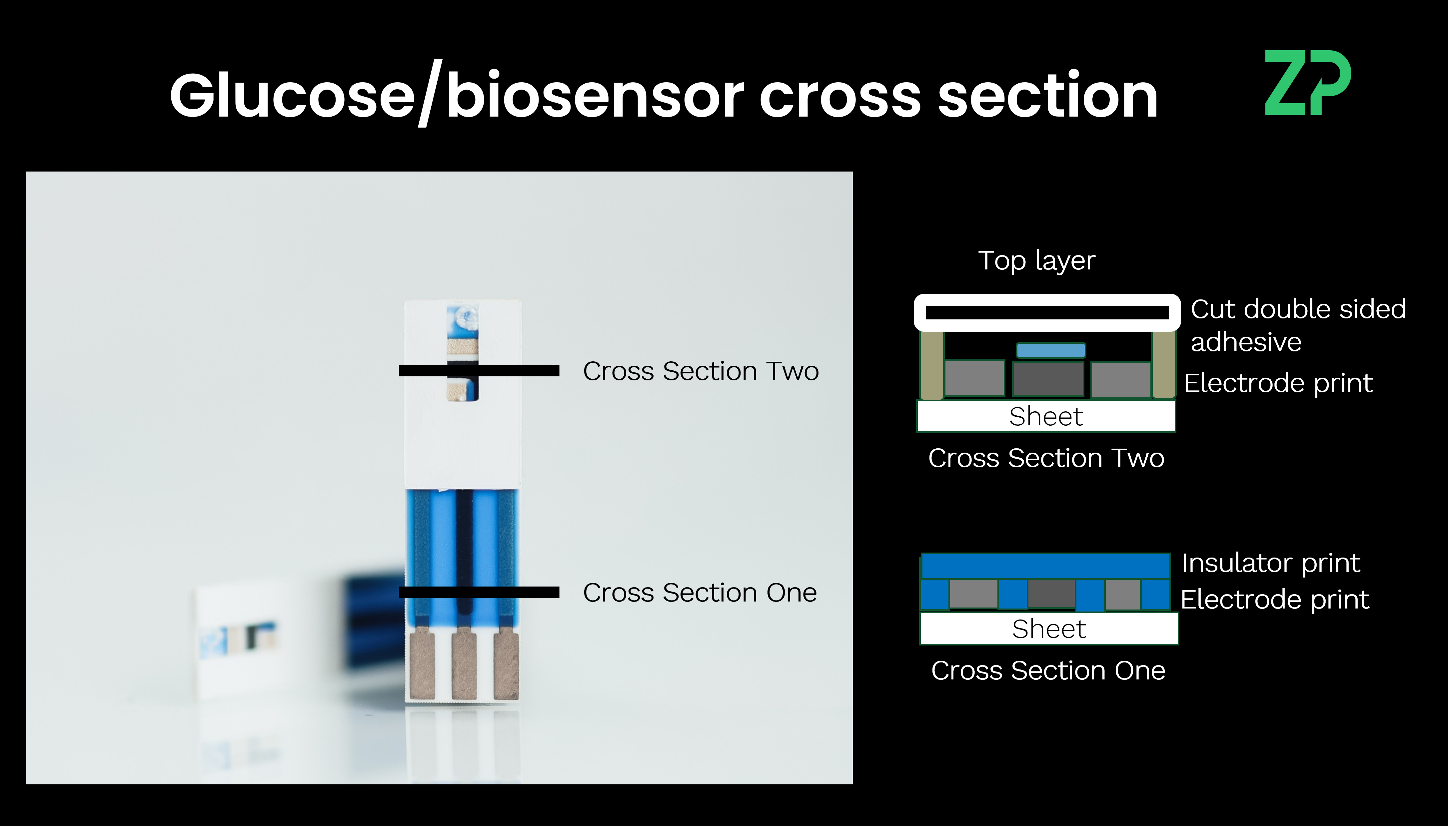 Glucose/biosensor cross section