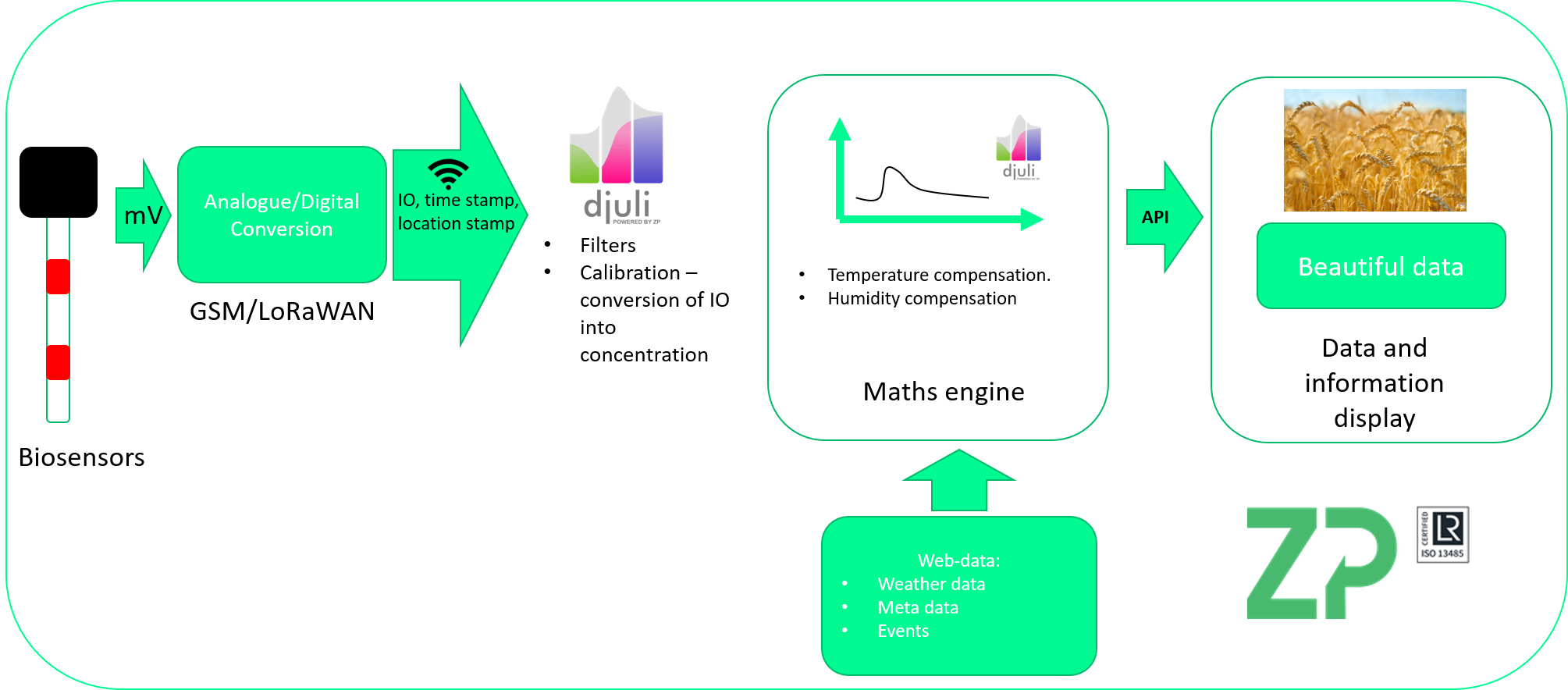 Biosensing data into actionable information