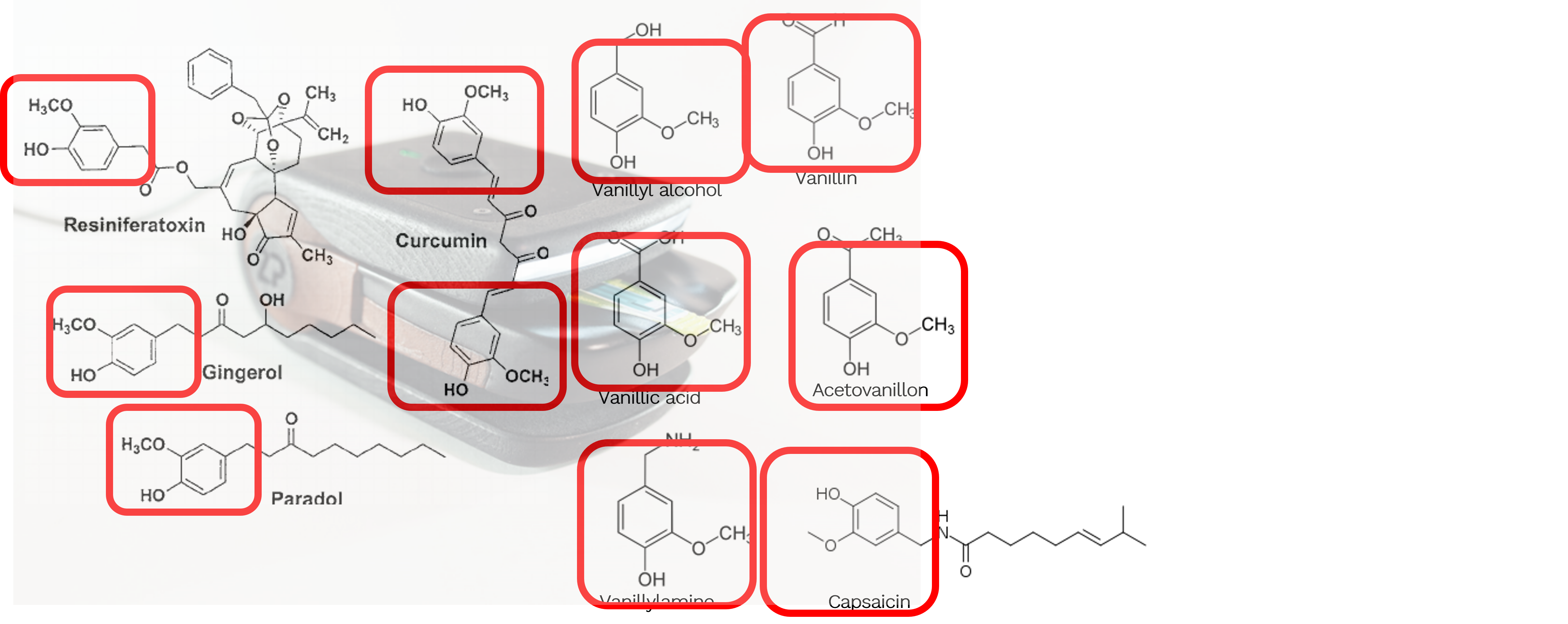 Detection and Quantification of Vanilloids/Vanillyl Group