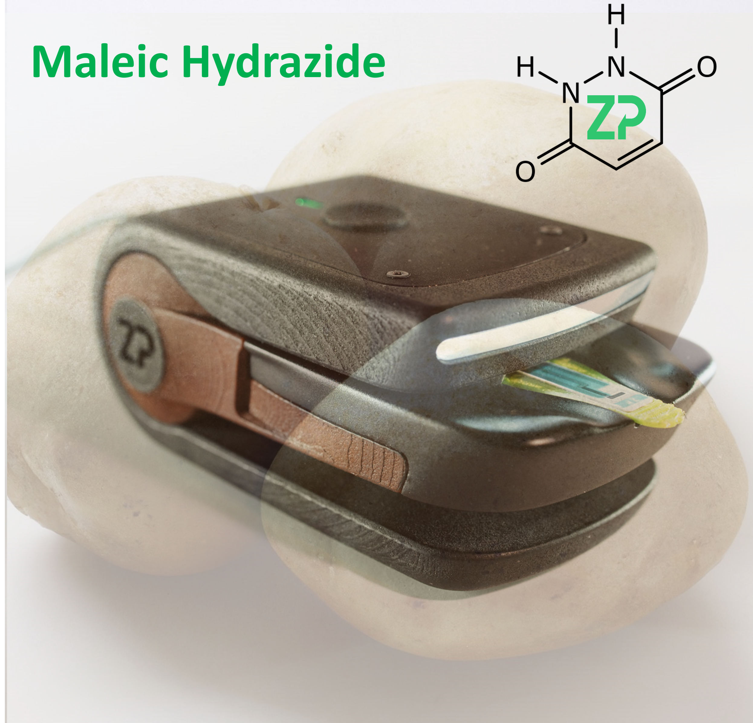 Detection and quantification of maleic hydrazide (MH)