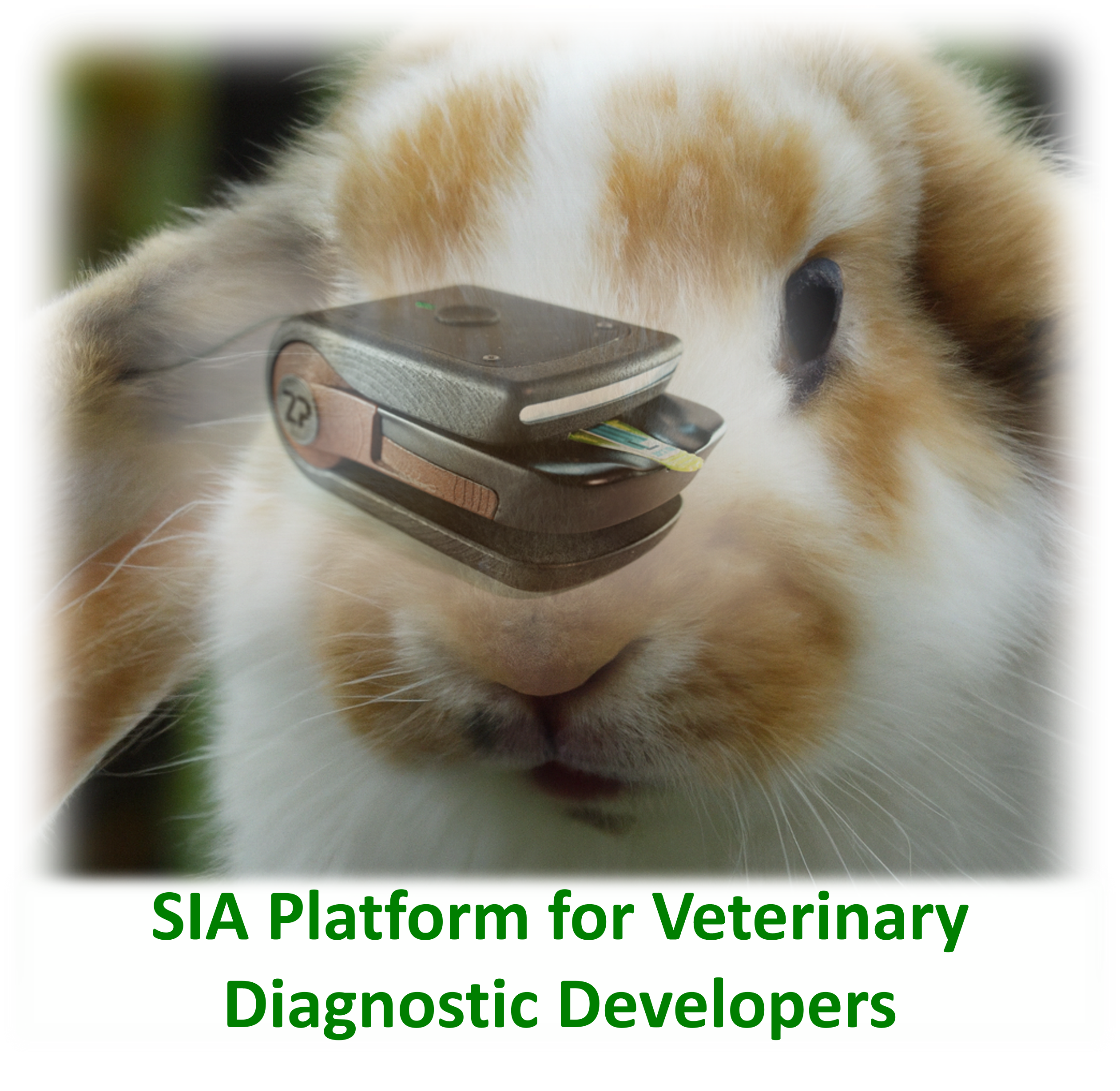 Veterinary Diagnostics Regulations in the UK