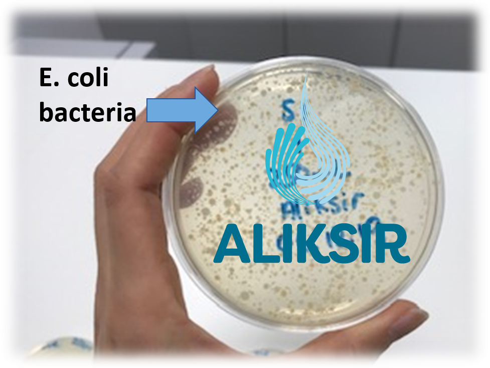 Aliksir develops E. coli sensor