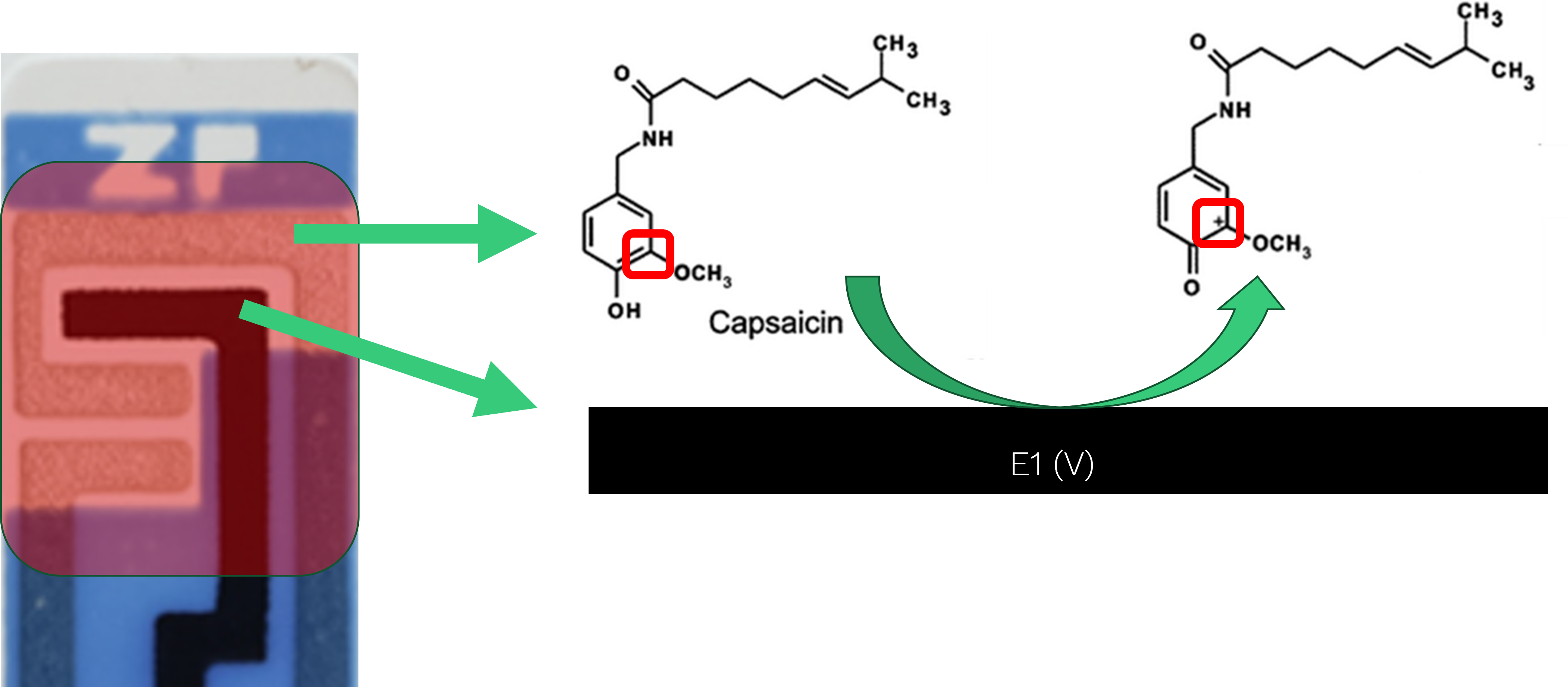 electrochemical detection of capsaicin