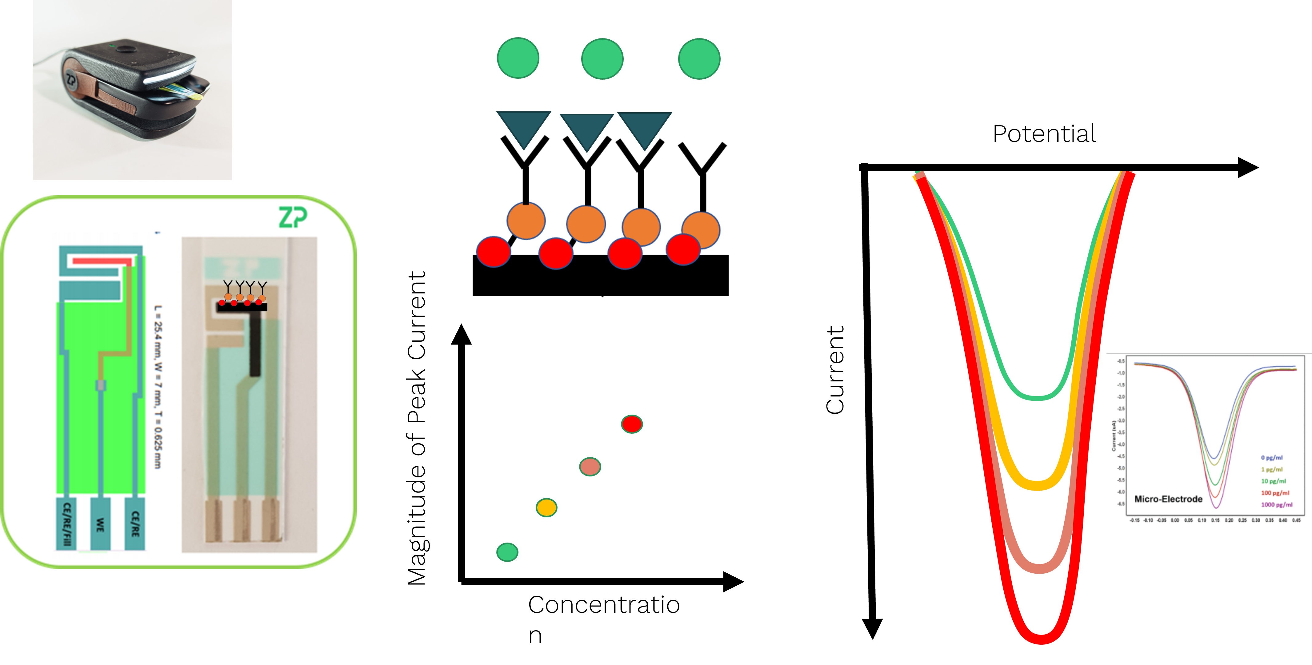 Detection of meat pathogens