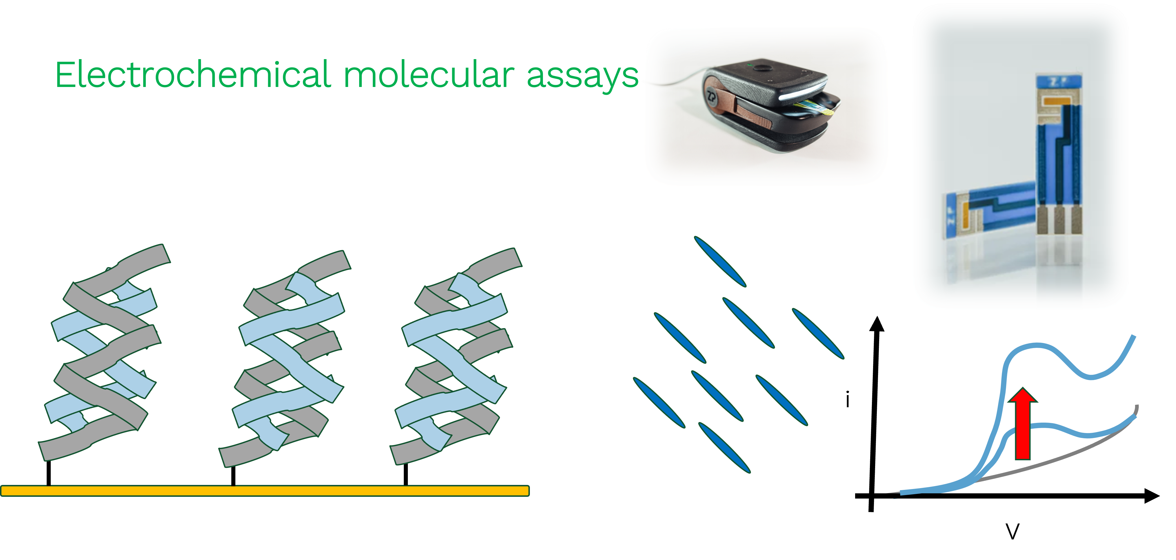 Electrochemical molecular assays