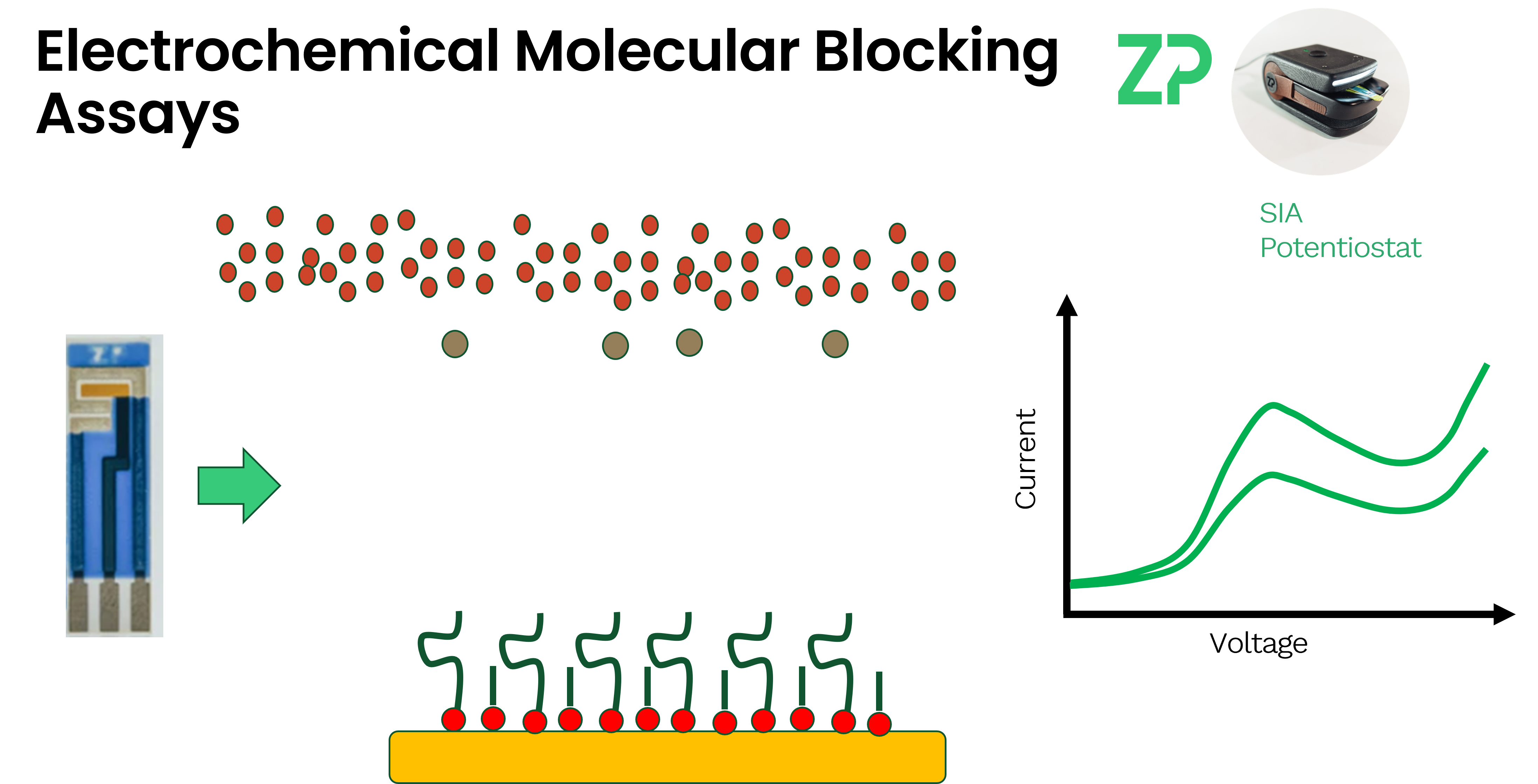 electrochemical molecular blocking assays