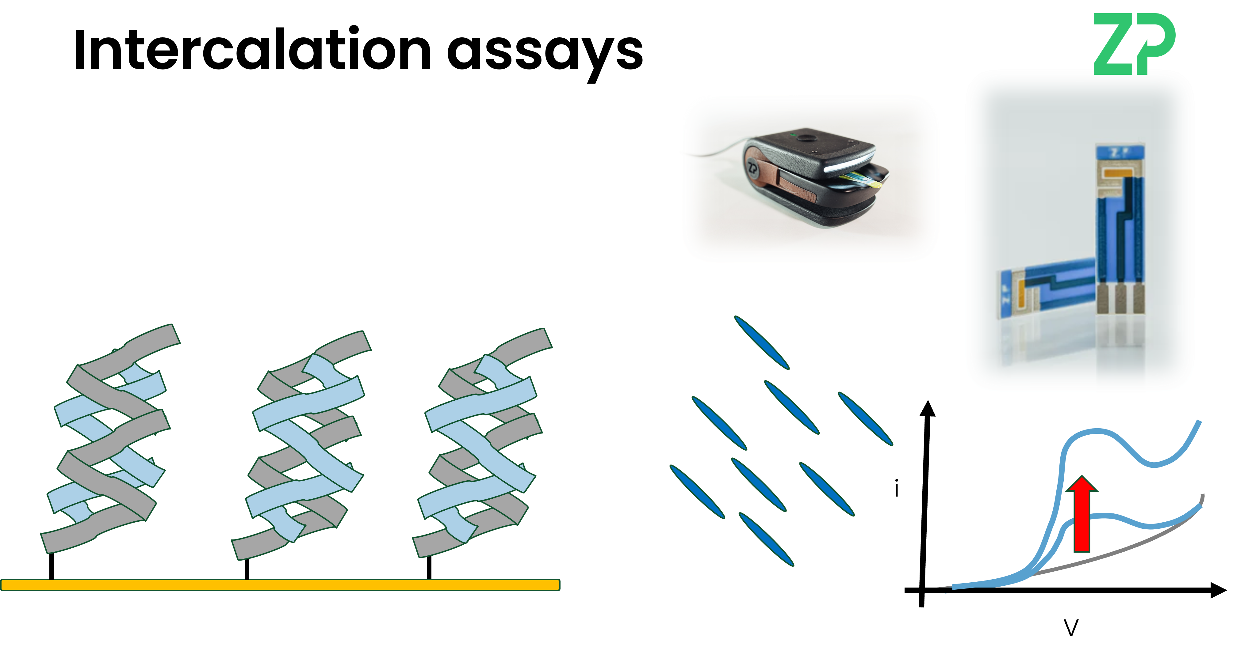 electrochemical molecular intercalation assays