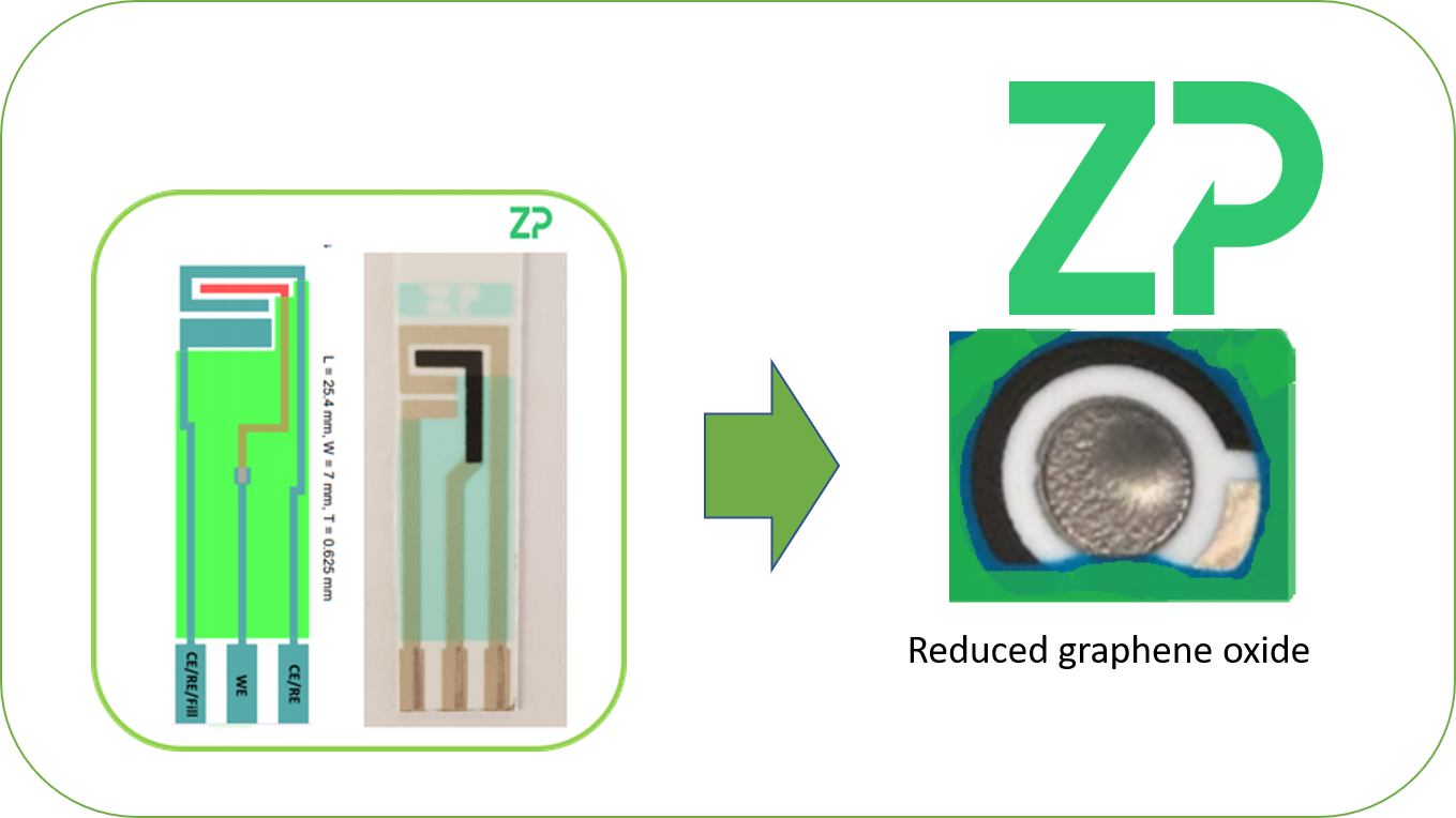 Graphene screen printed electrodes