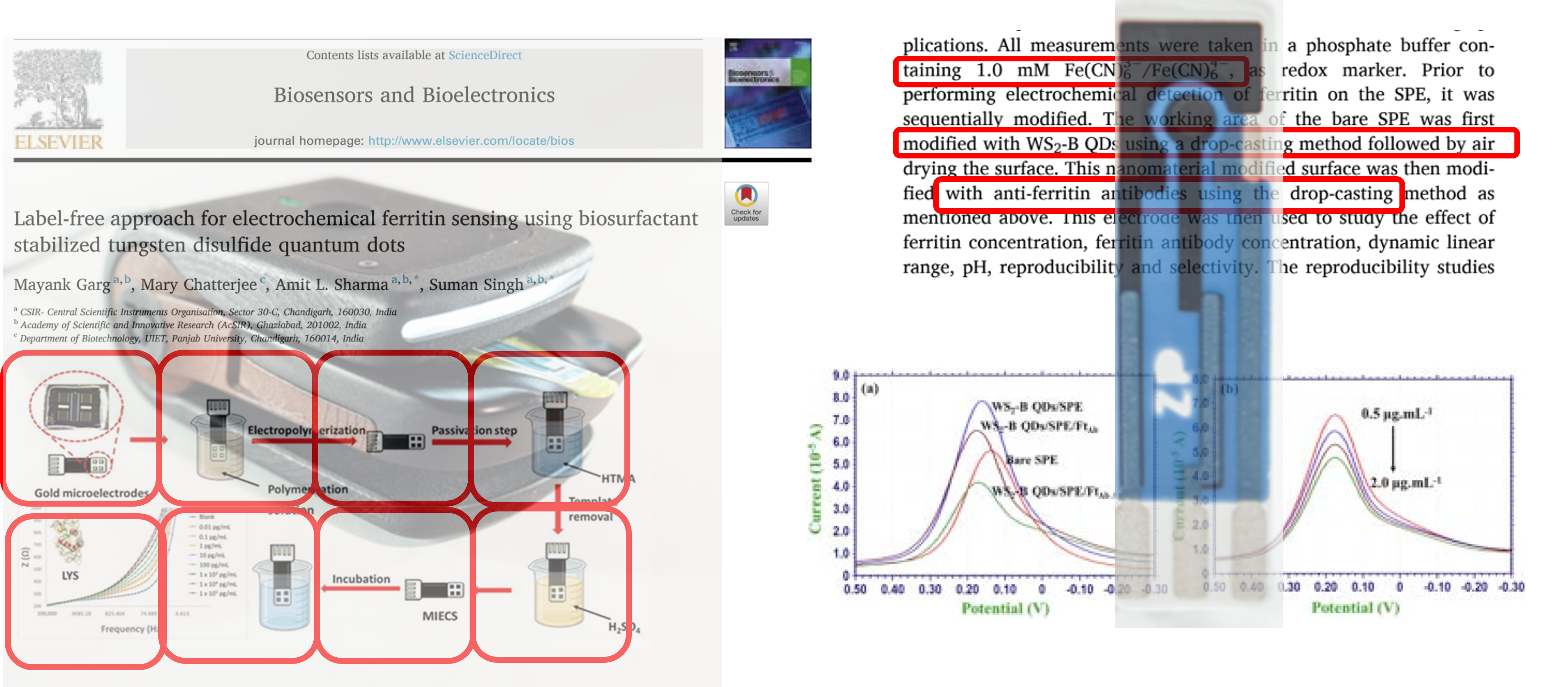 Biosensors for Ferritin