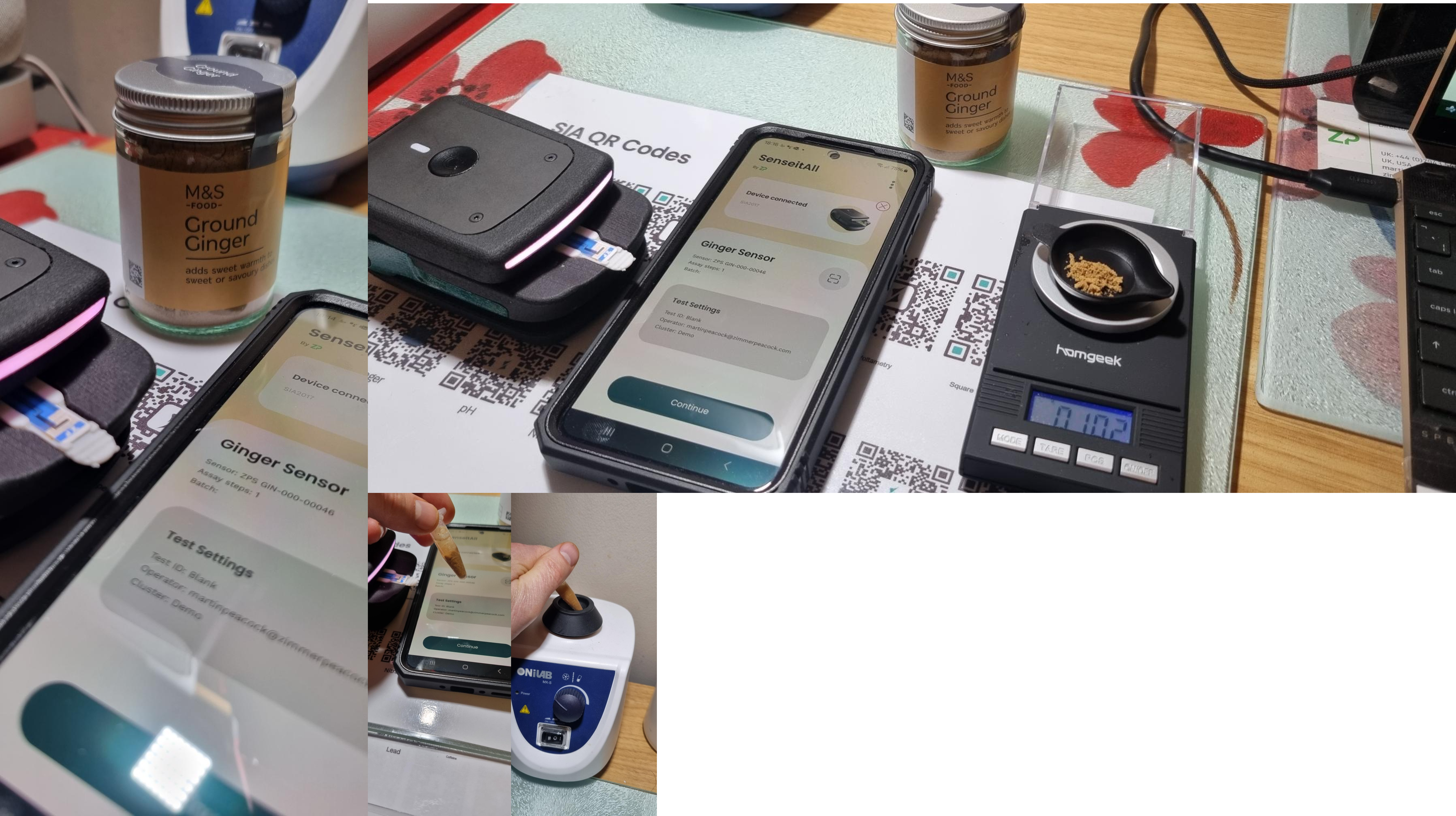 Testing the gingerol in ginger powder