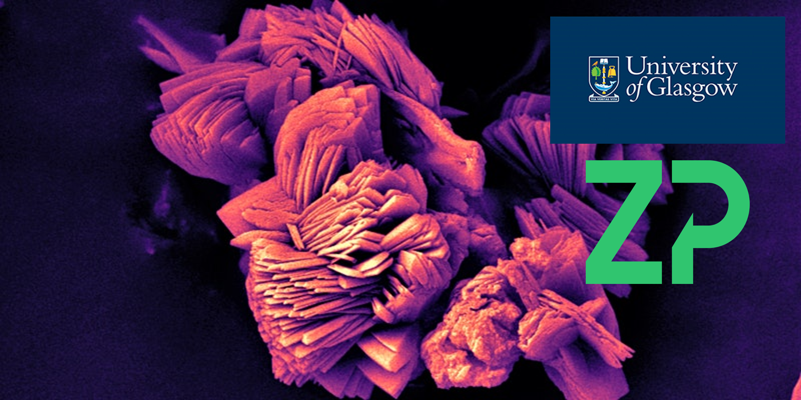 ZP @ lifETIME Stakeholder Day