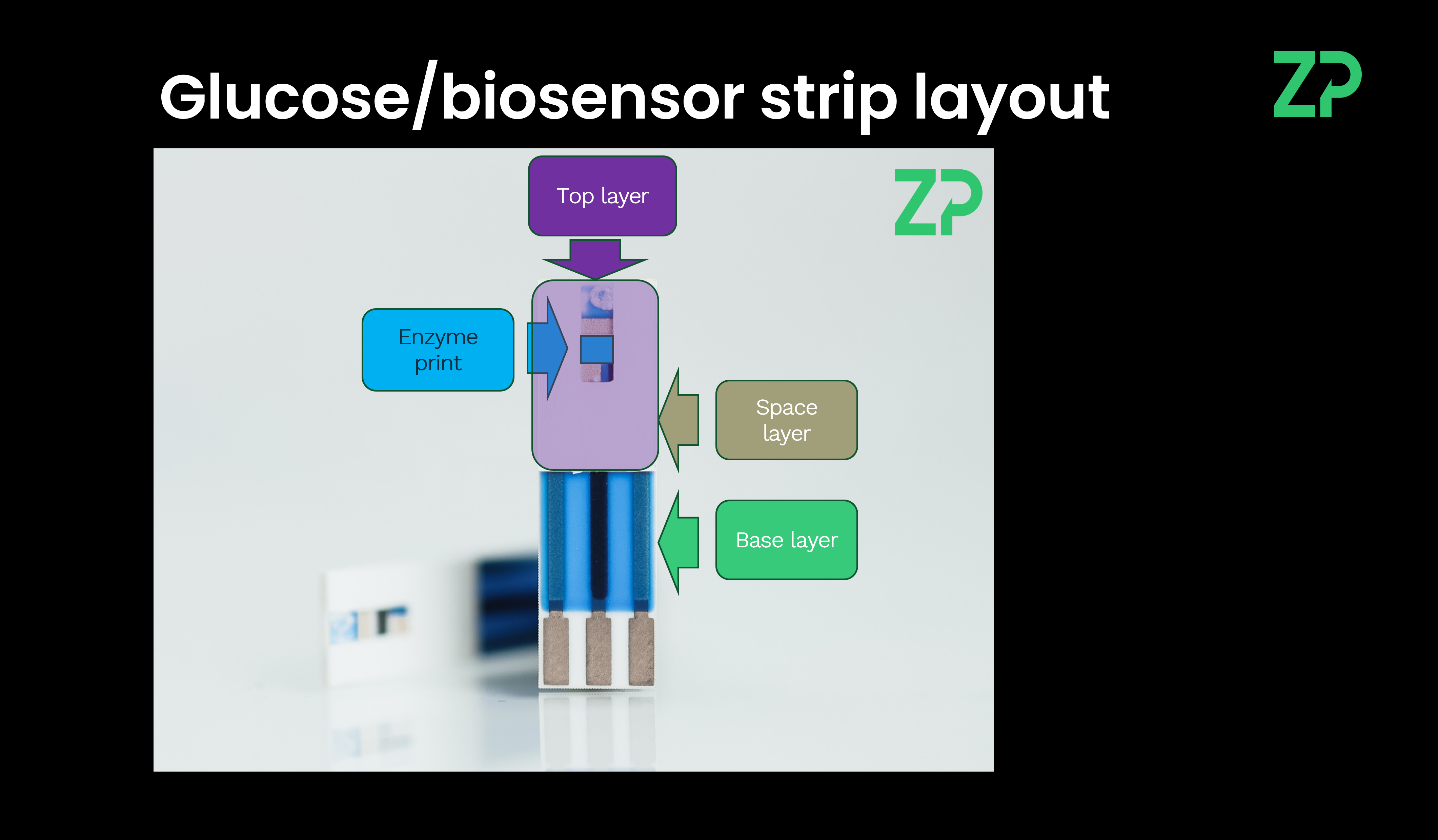 Glucose/biosensor strip layout