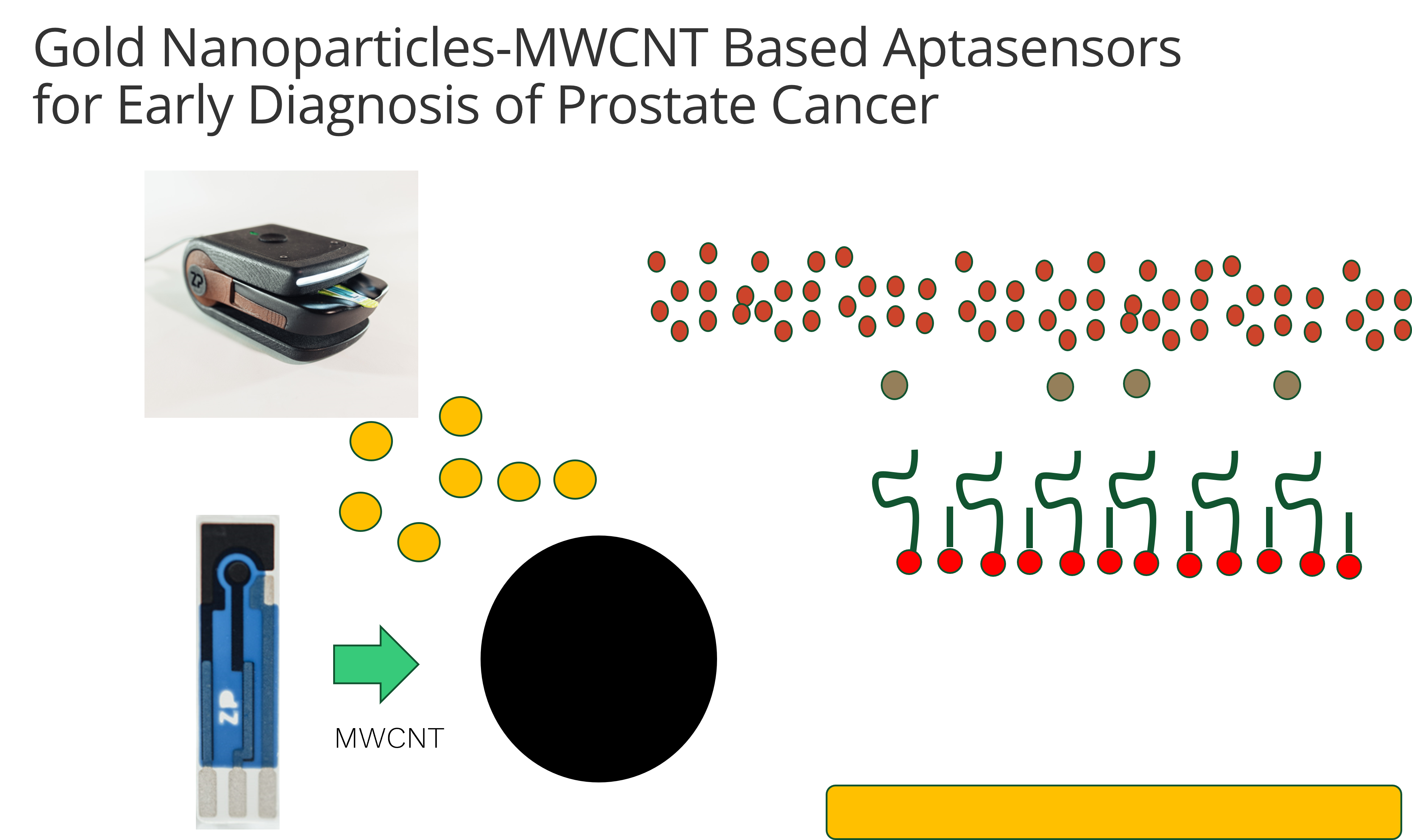 Commercializing: Gold Nanoparticles-MWCNT Based Aptasensors for Early Diagnosis of Prostate Cancer