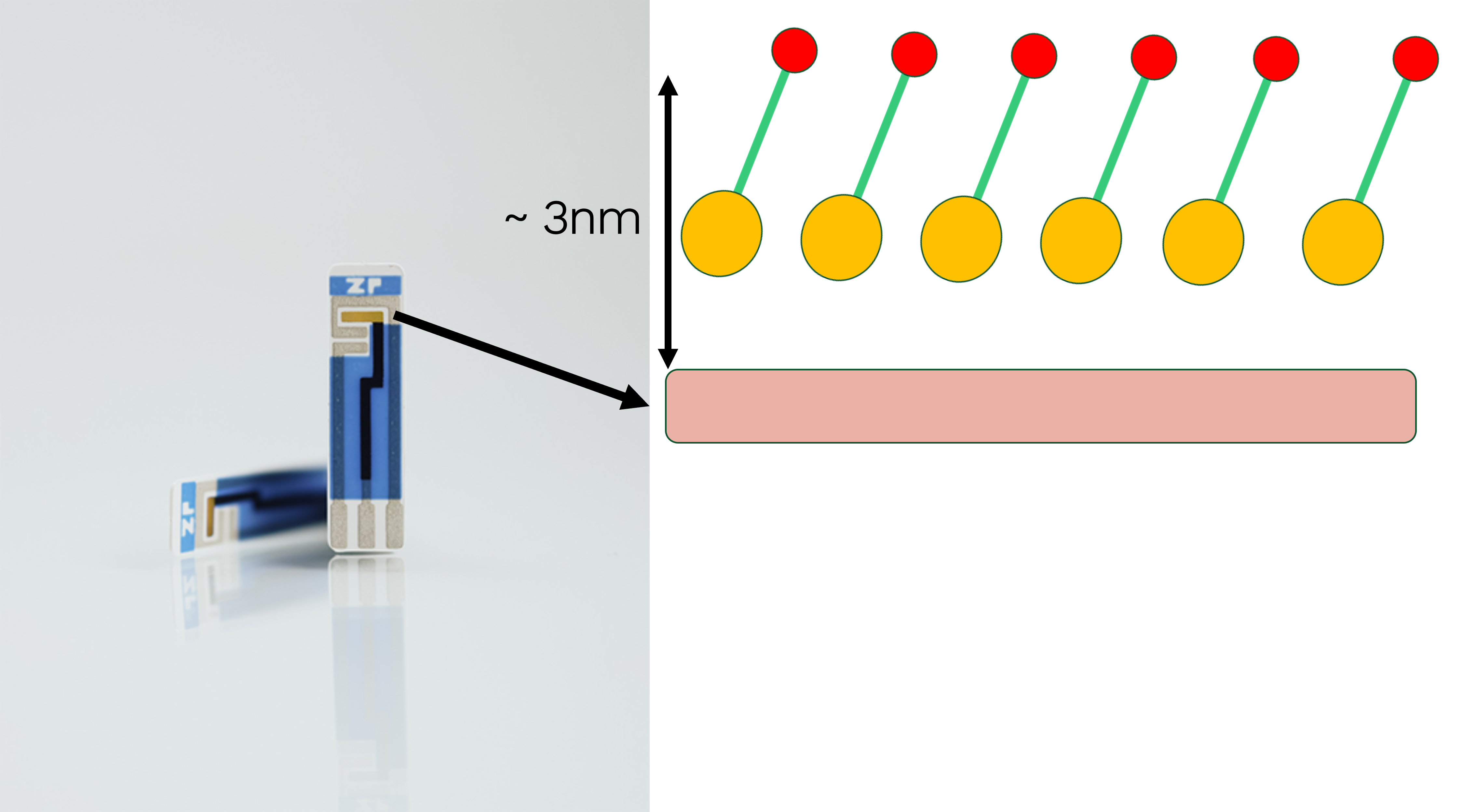 Why Gold Screen‑Printed Electrodes Are a Bad Idea for Commercial Biosensors