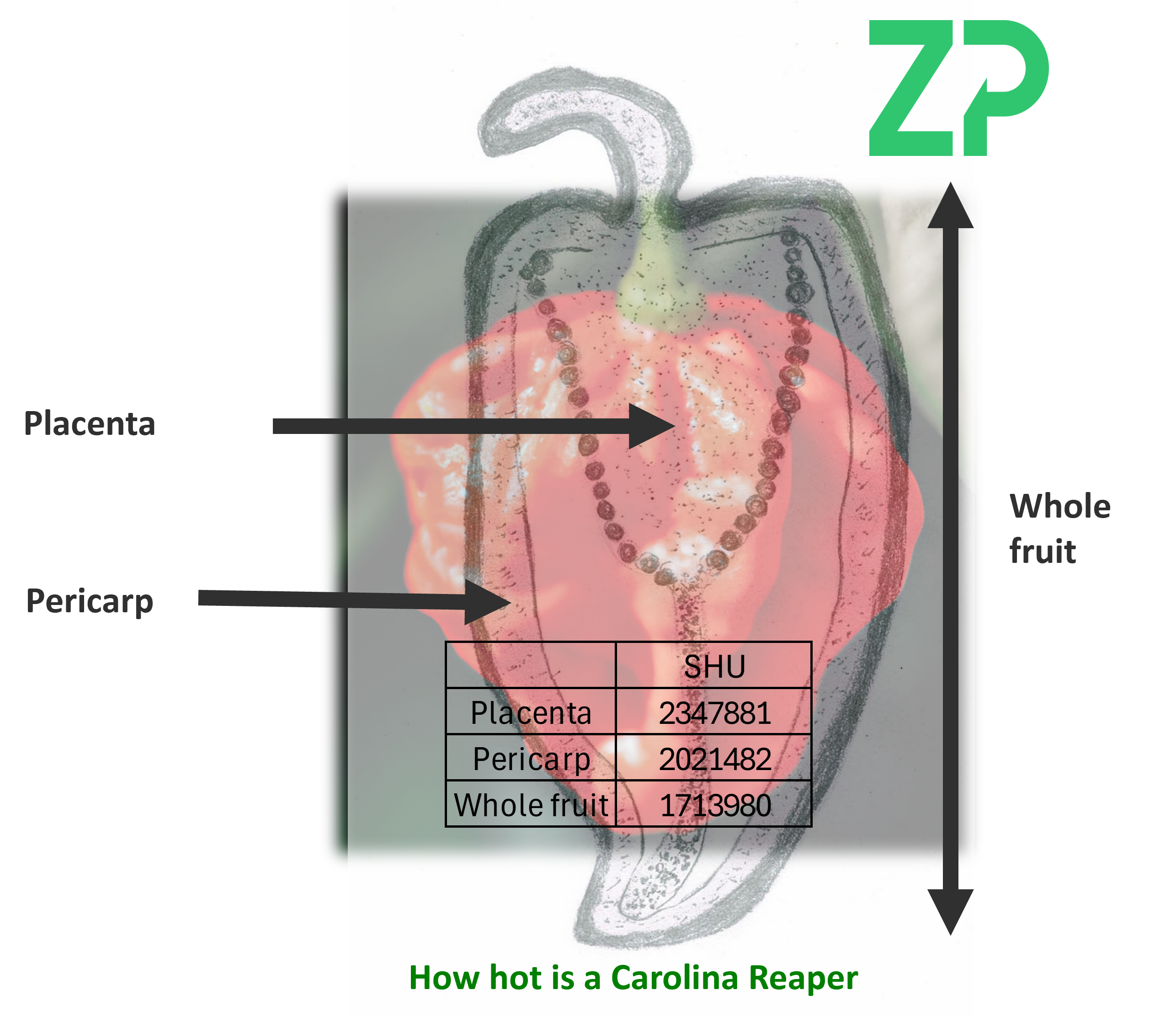 Carolina Reaper - meta analysis