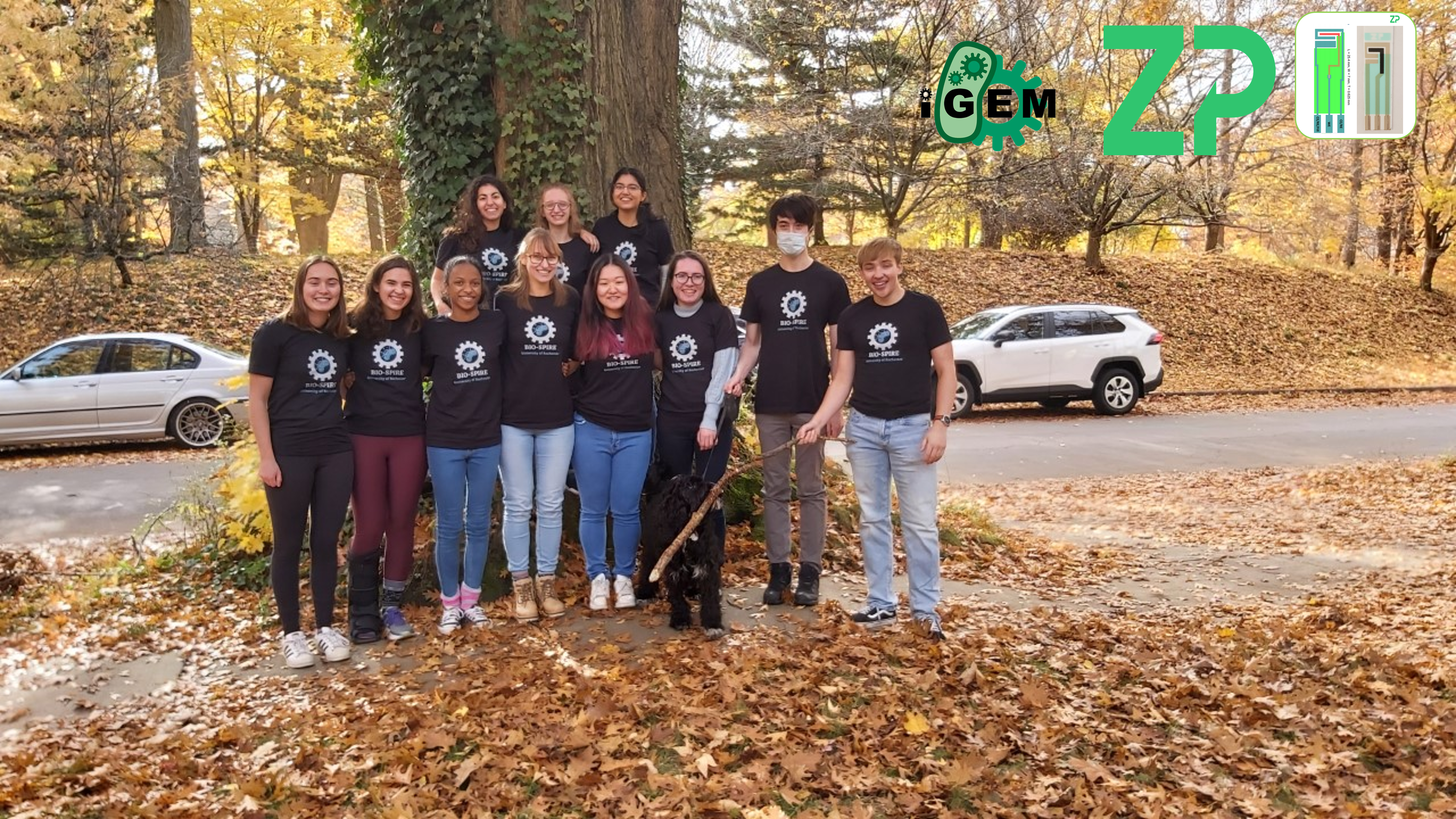 Sepsis - University of Rochester wins gold at iGEM 2021